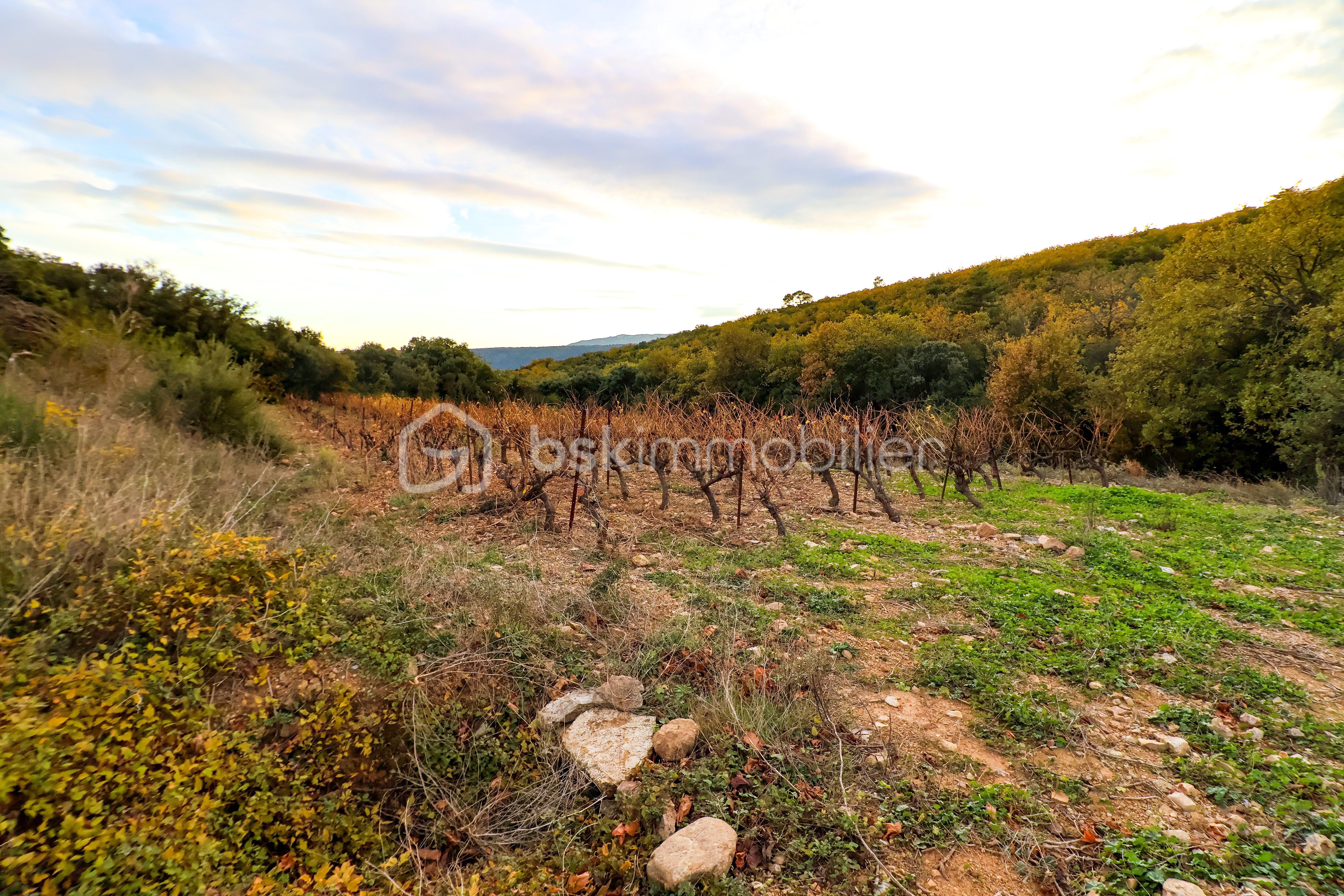 Terrain agricole de 417 775 m² - IMG_3529.JPG