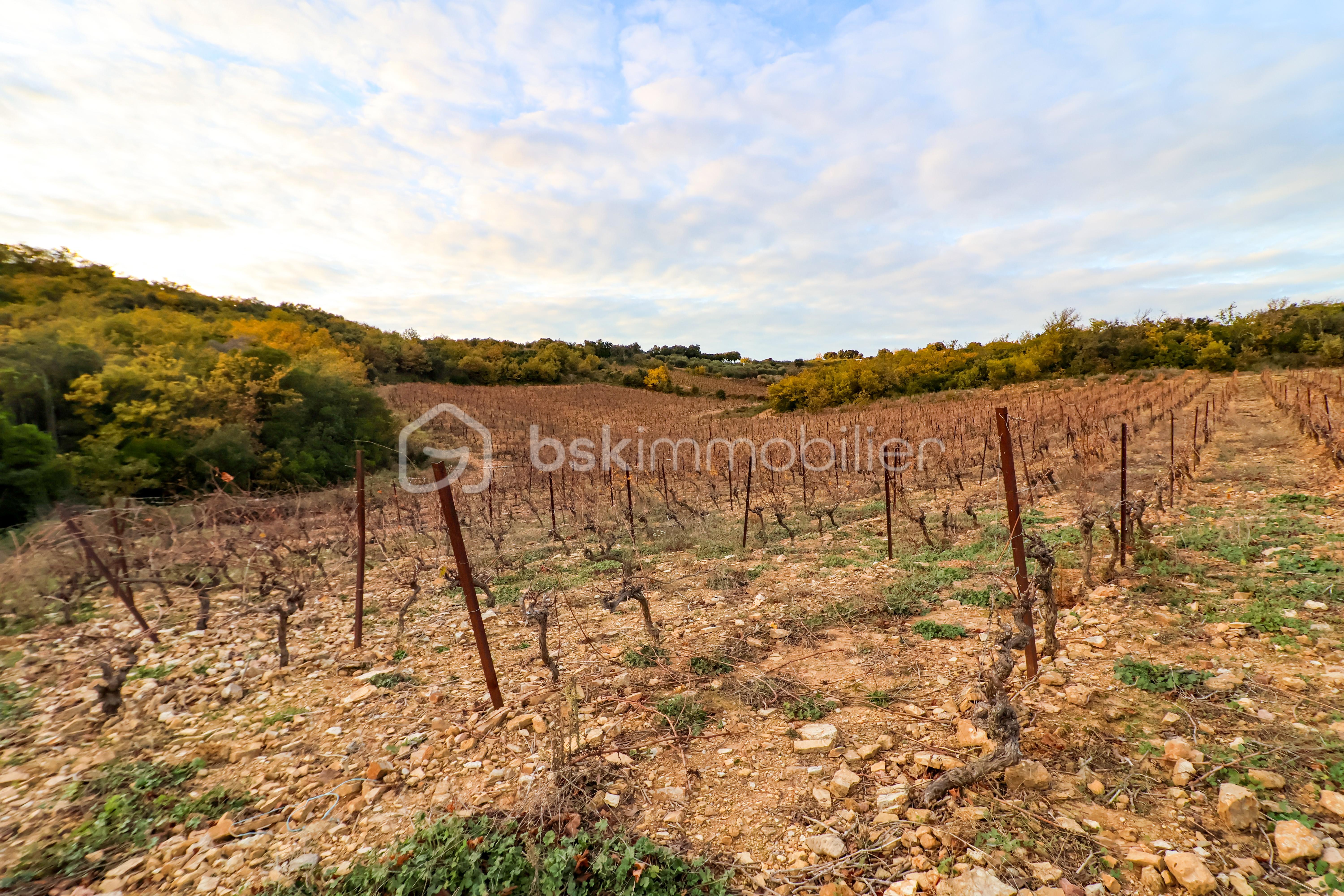 Terrain agricole de 417 775 m²