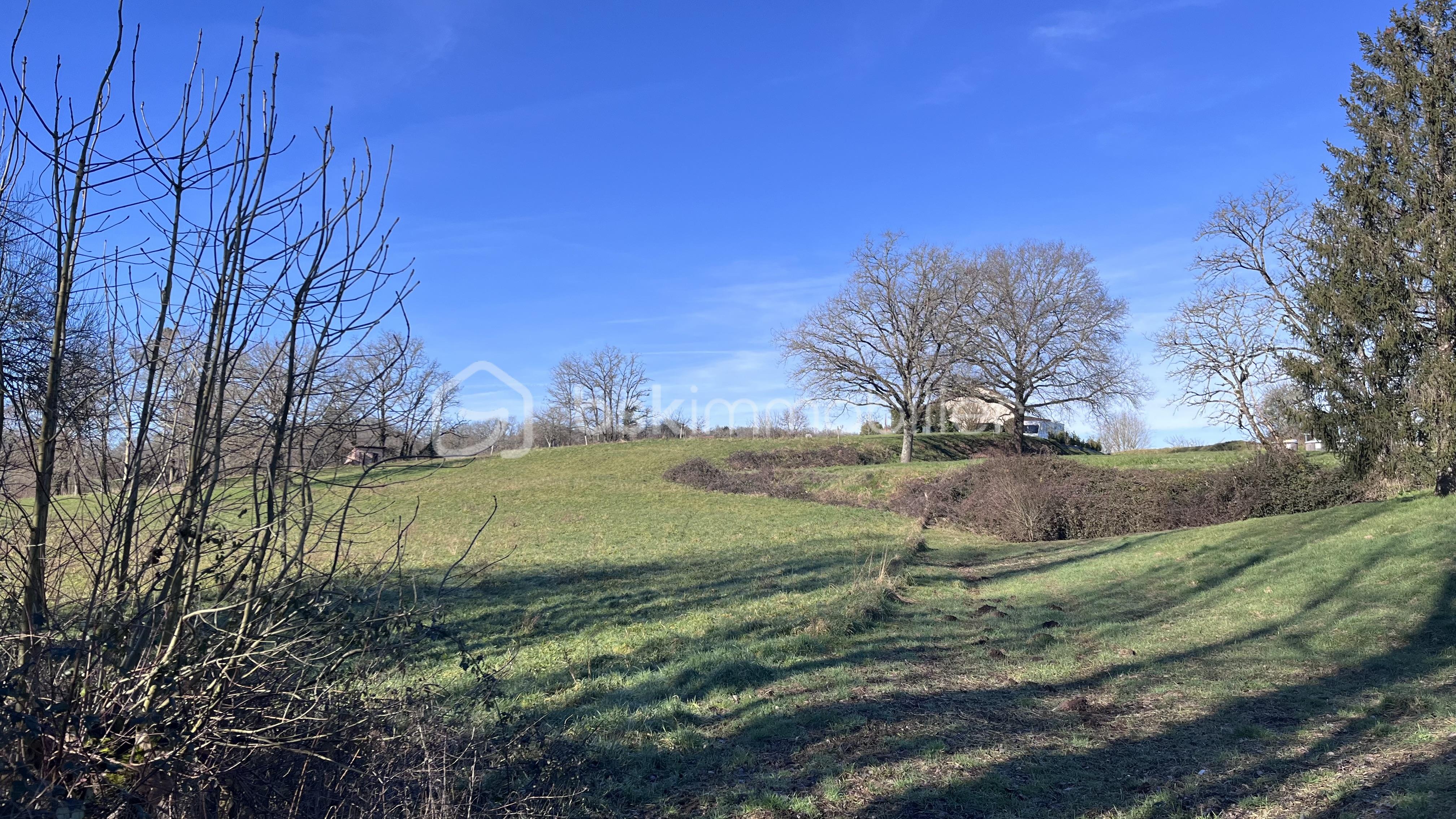 Terrain de 12 247 m² - IMG_0156.jpg