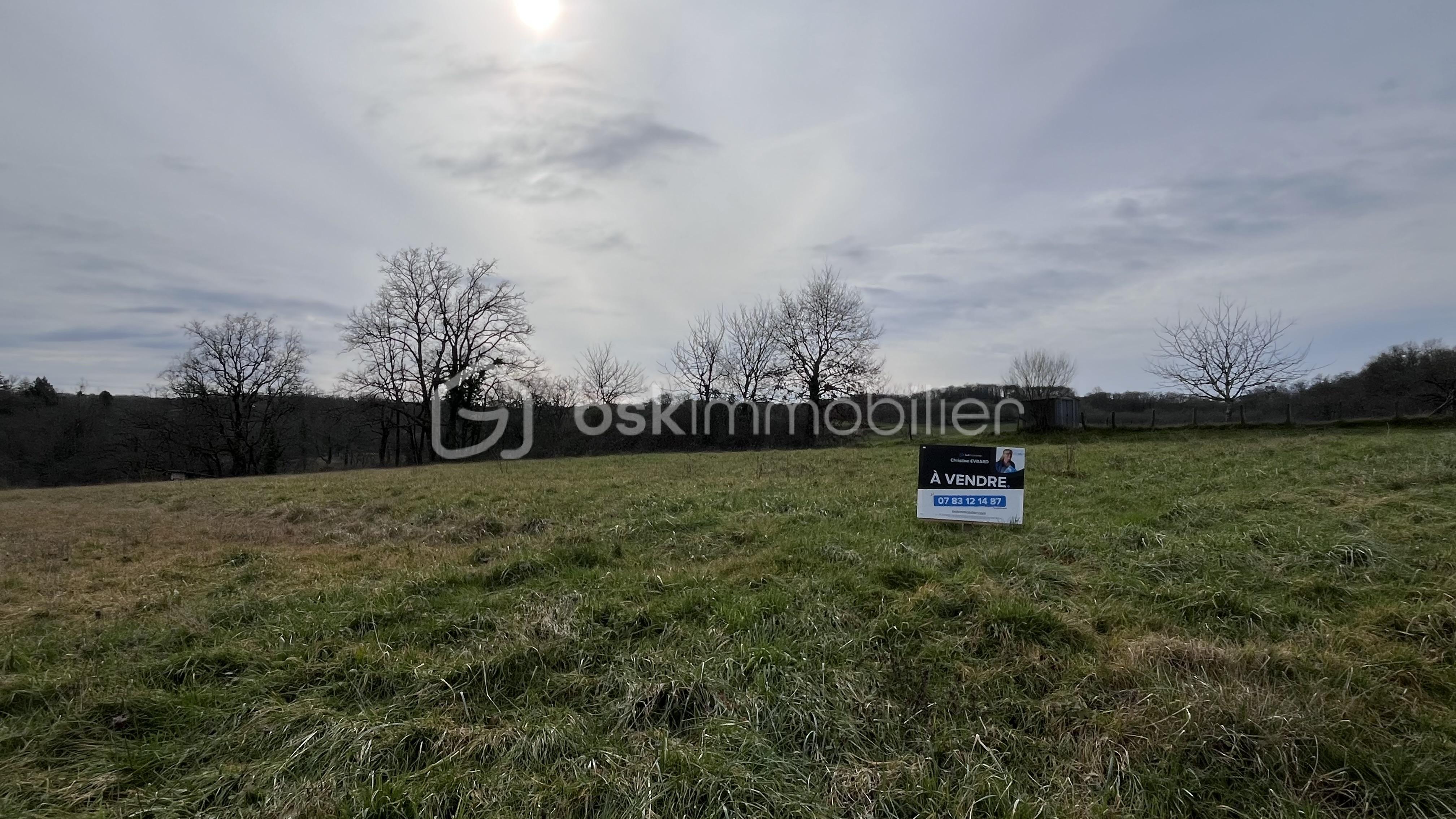 Terrain de 12 247 m² - IMG_0236.jpg