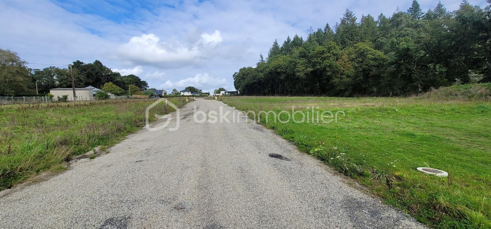 Terrain de 561 m² - 20241010_140029.jpg