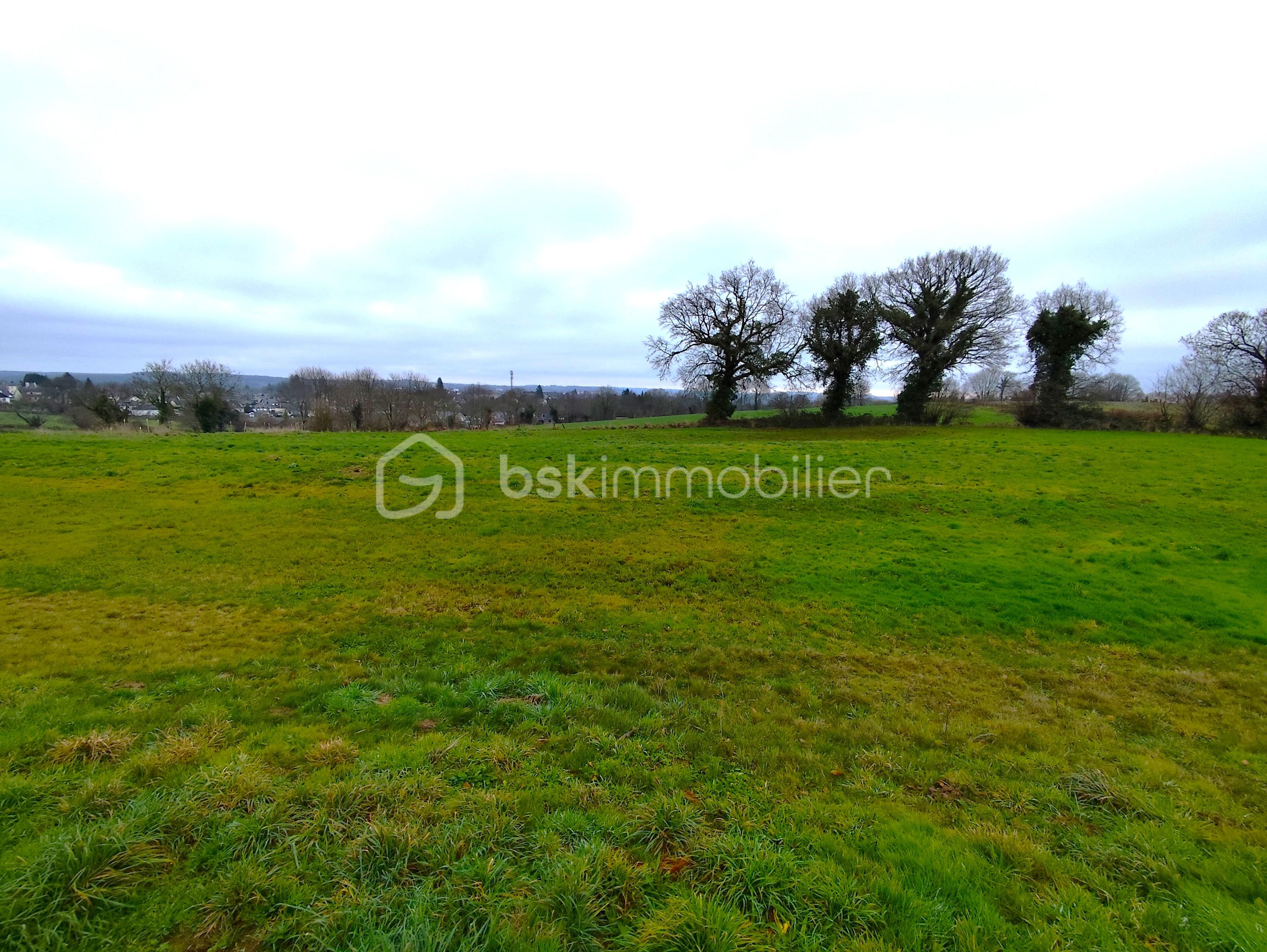 Maison de 72 m² - IMG_20251216_120804.jpg