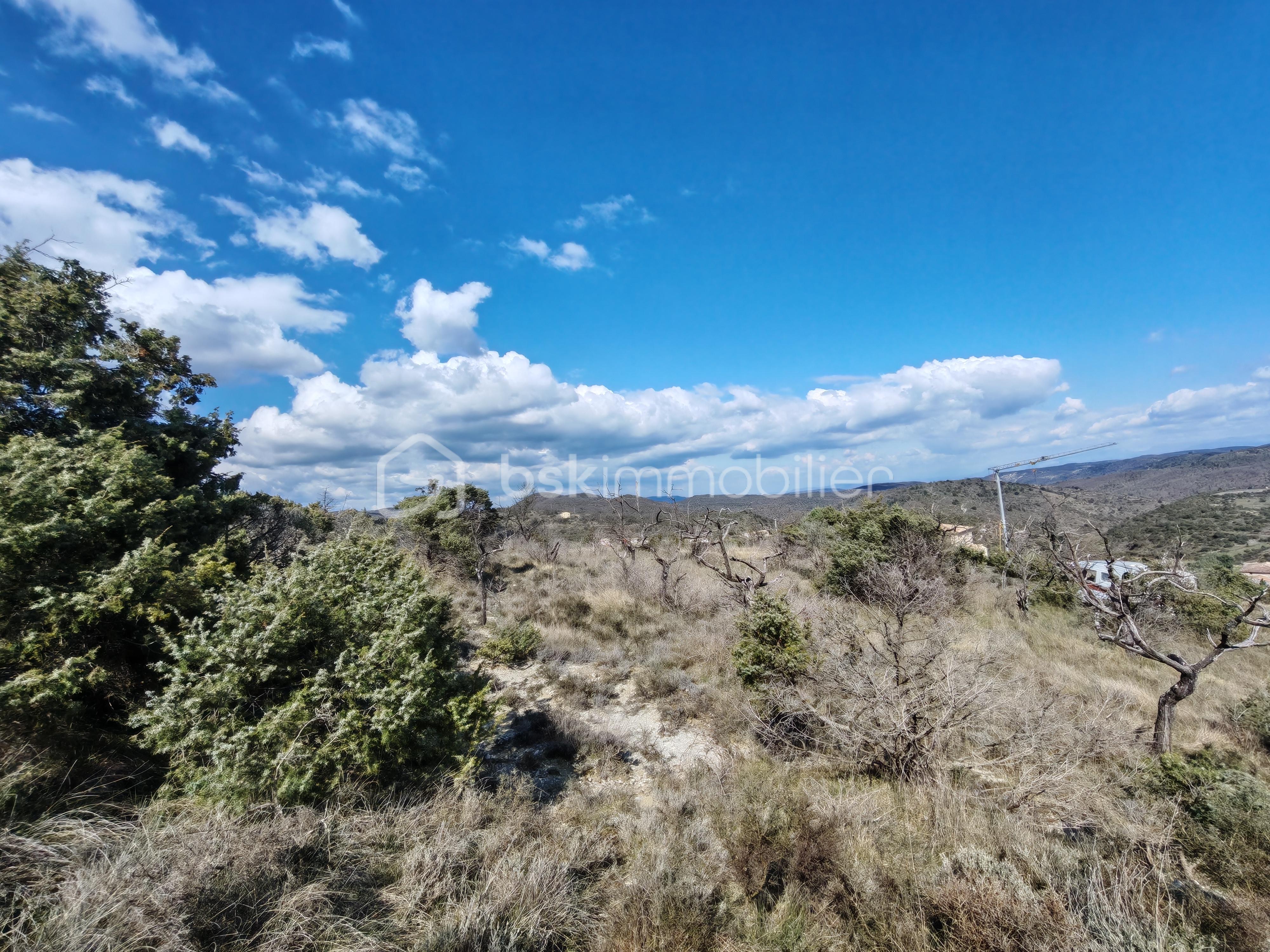 Terrain de 3 300 m² - IMG_20250325_144920.jpg