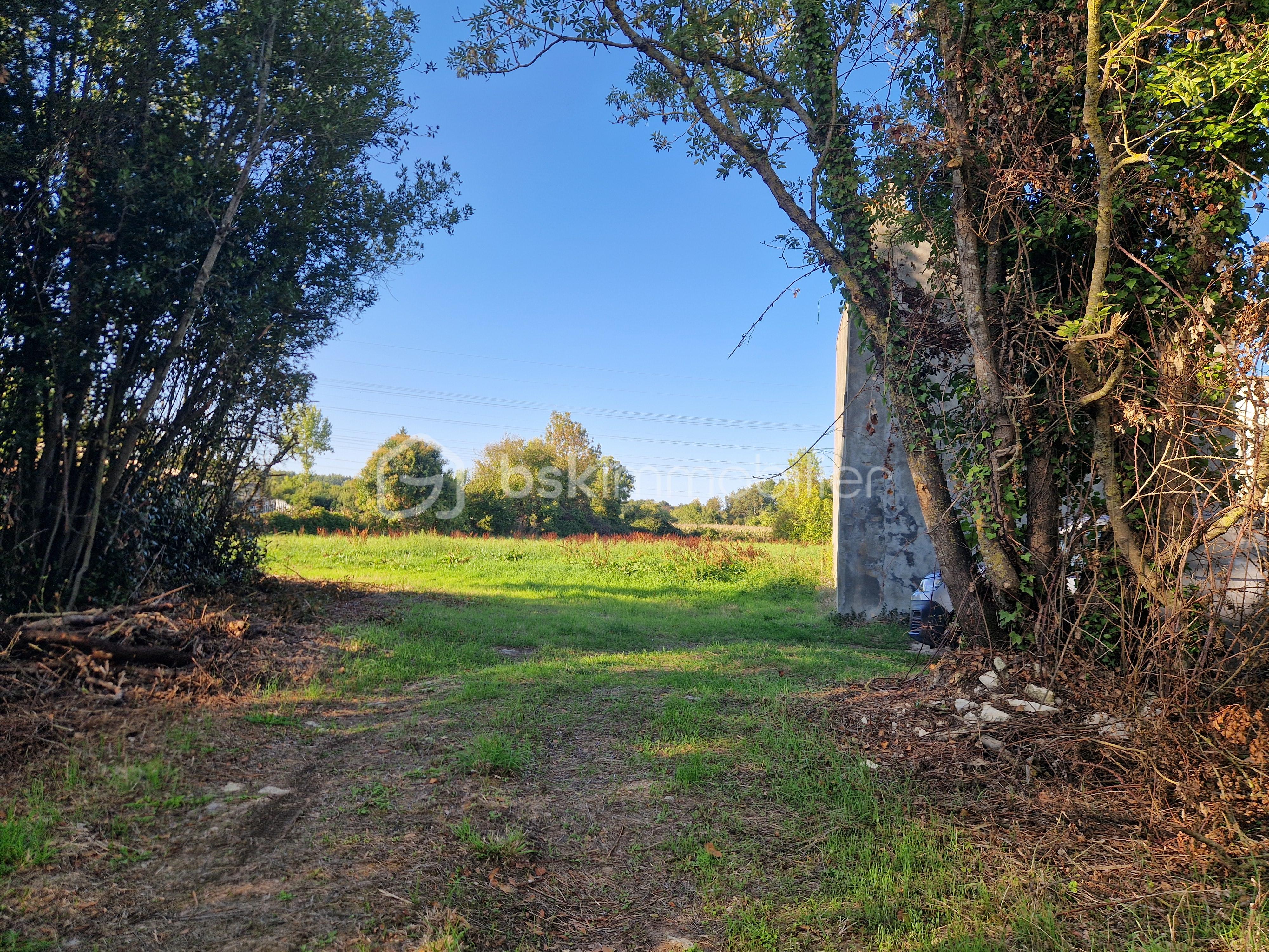 Terrain de 2 855 m² - 20250917_182427.jpg