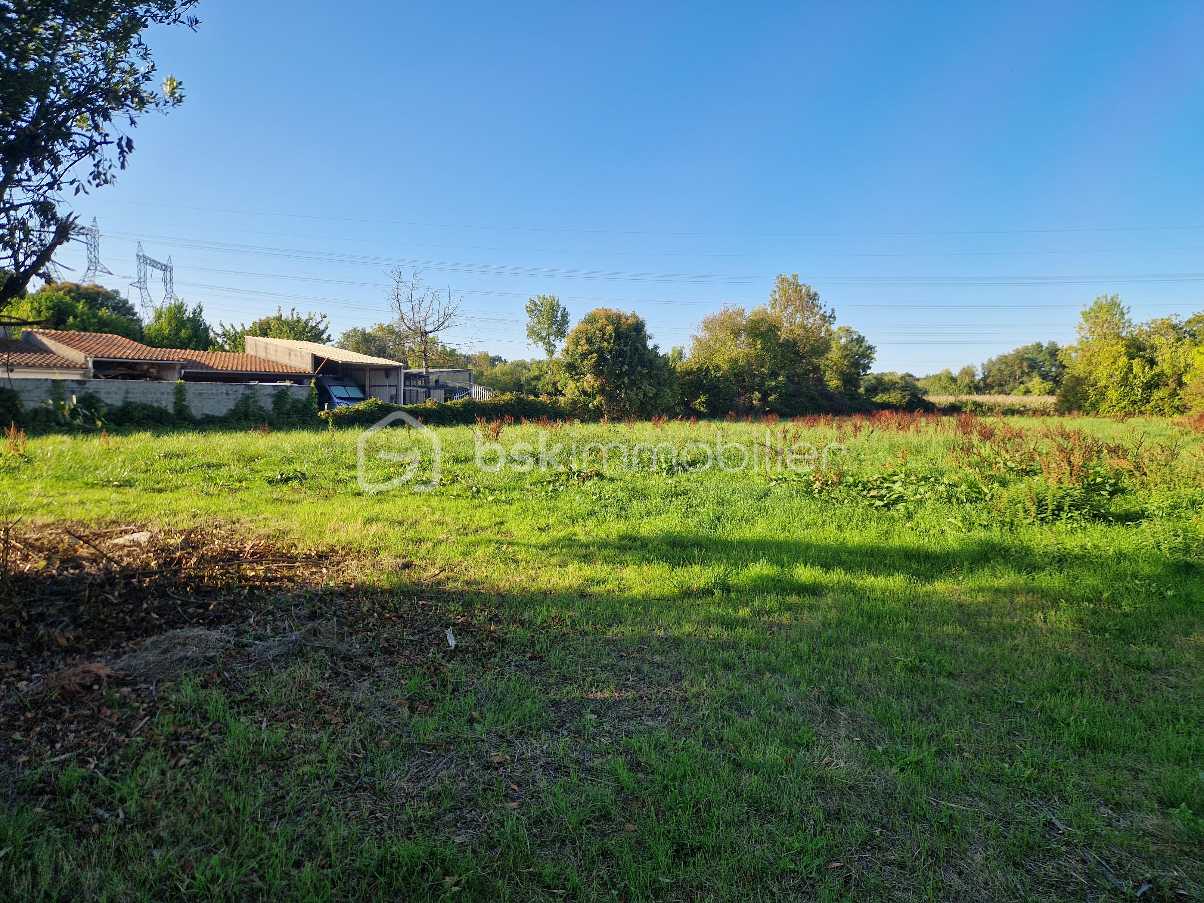Terrain de 2 855 m² - 20250917_182358.jpg