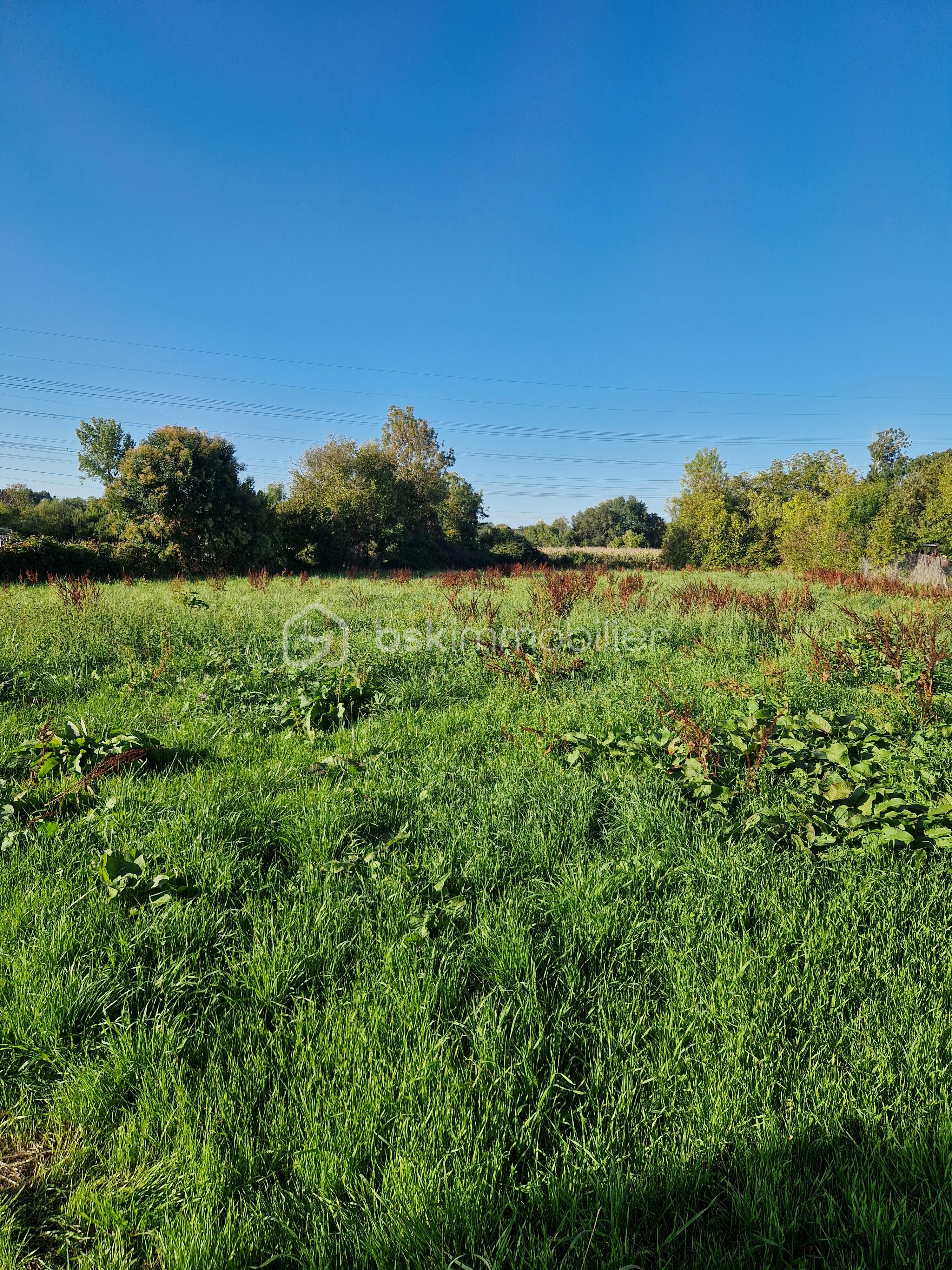 Terrain de 2 855 m² - 20250917_182337.jpg