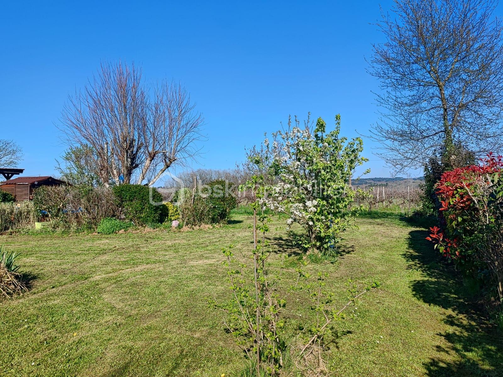 WhatsApp Image 2026-04-08 at 19.49.43(7).jpeg