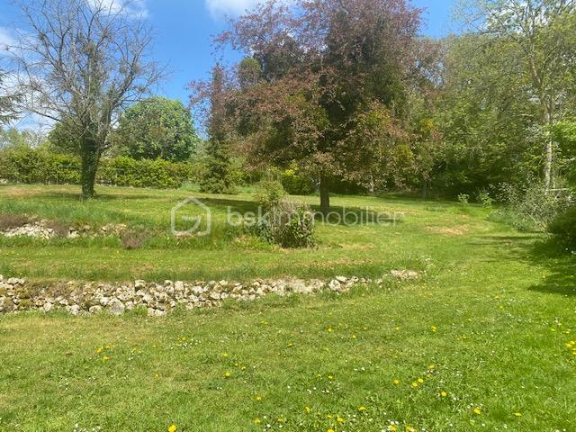 jardin.jpeg