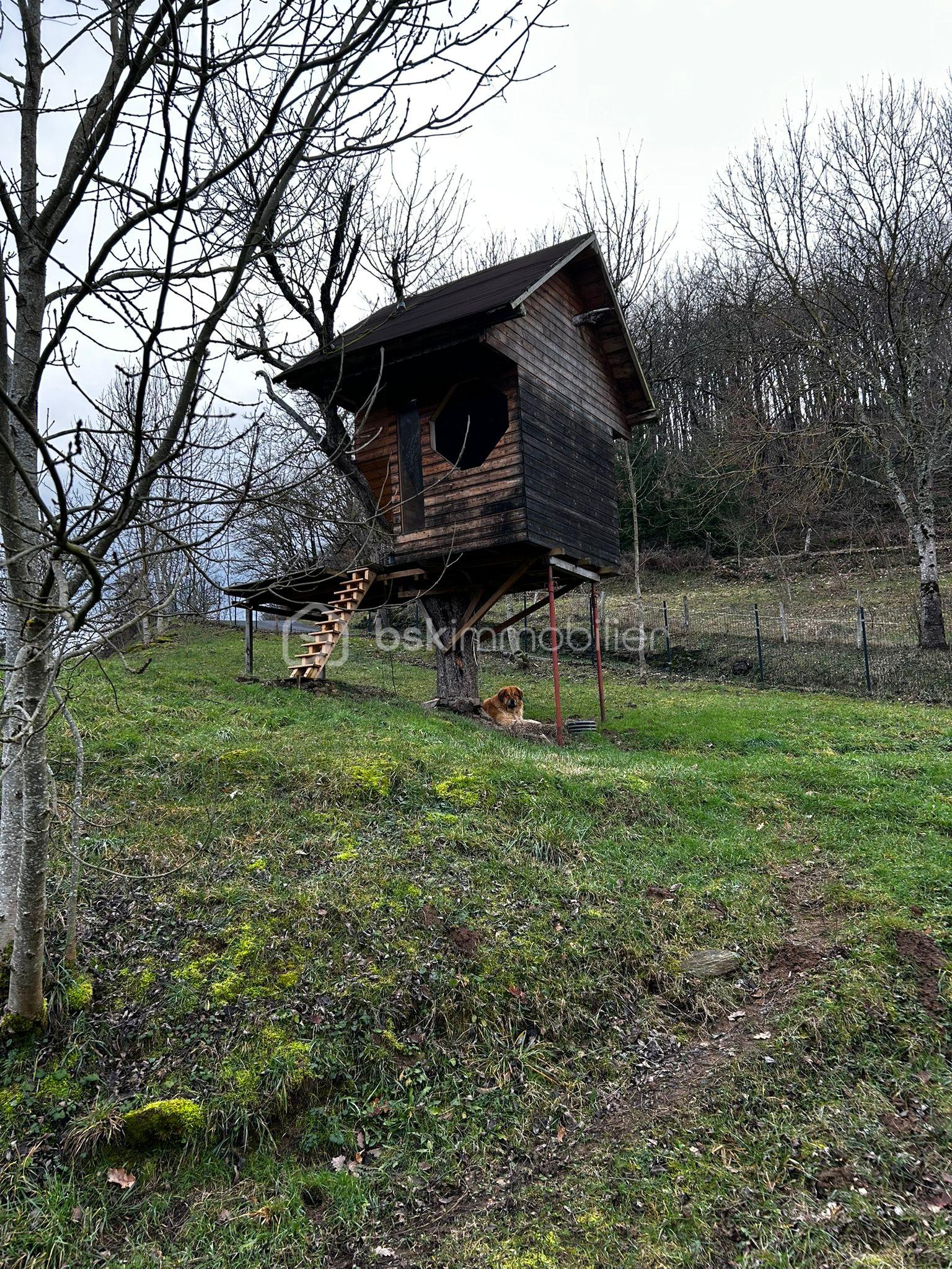 WhatsApp Image 2026-01-28 at 07.54.41 (1).jpeg