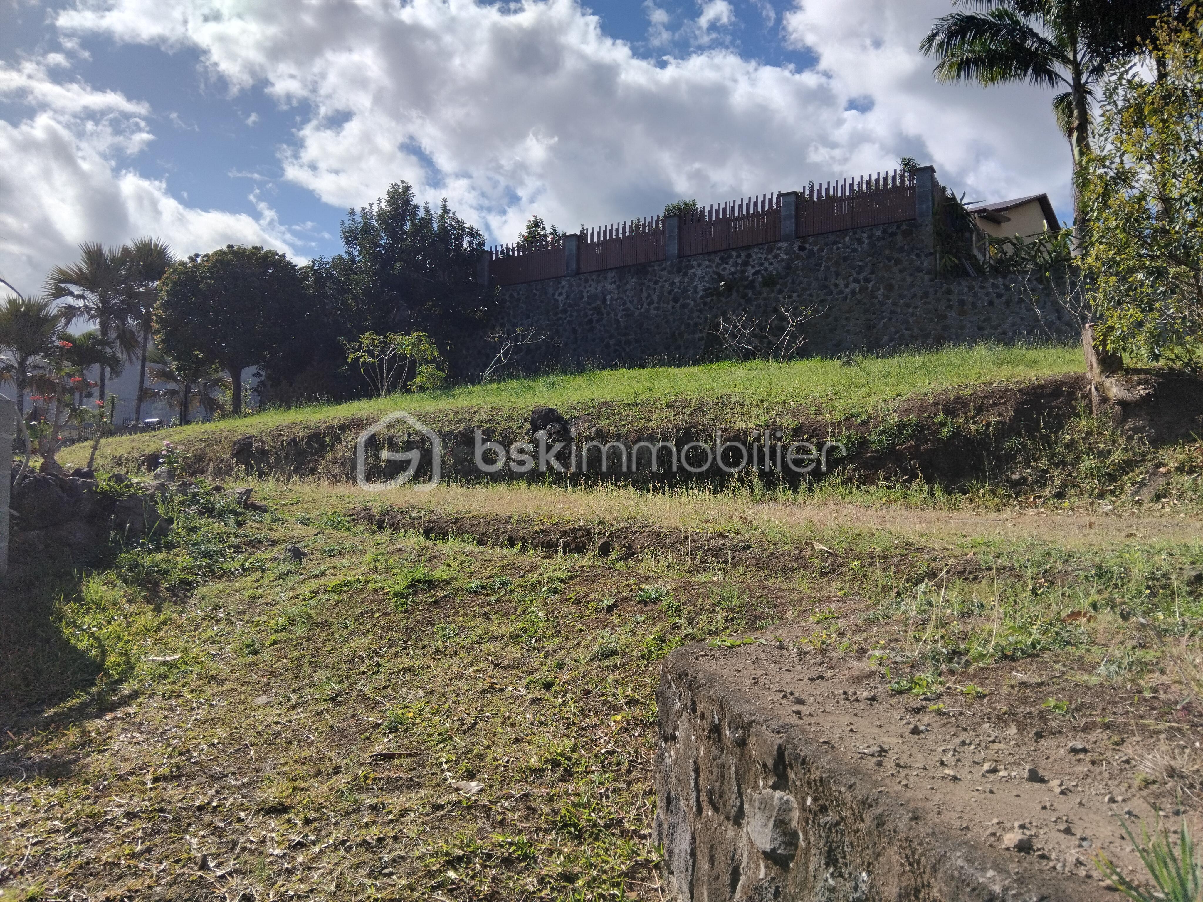 mur de loin.jpg