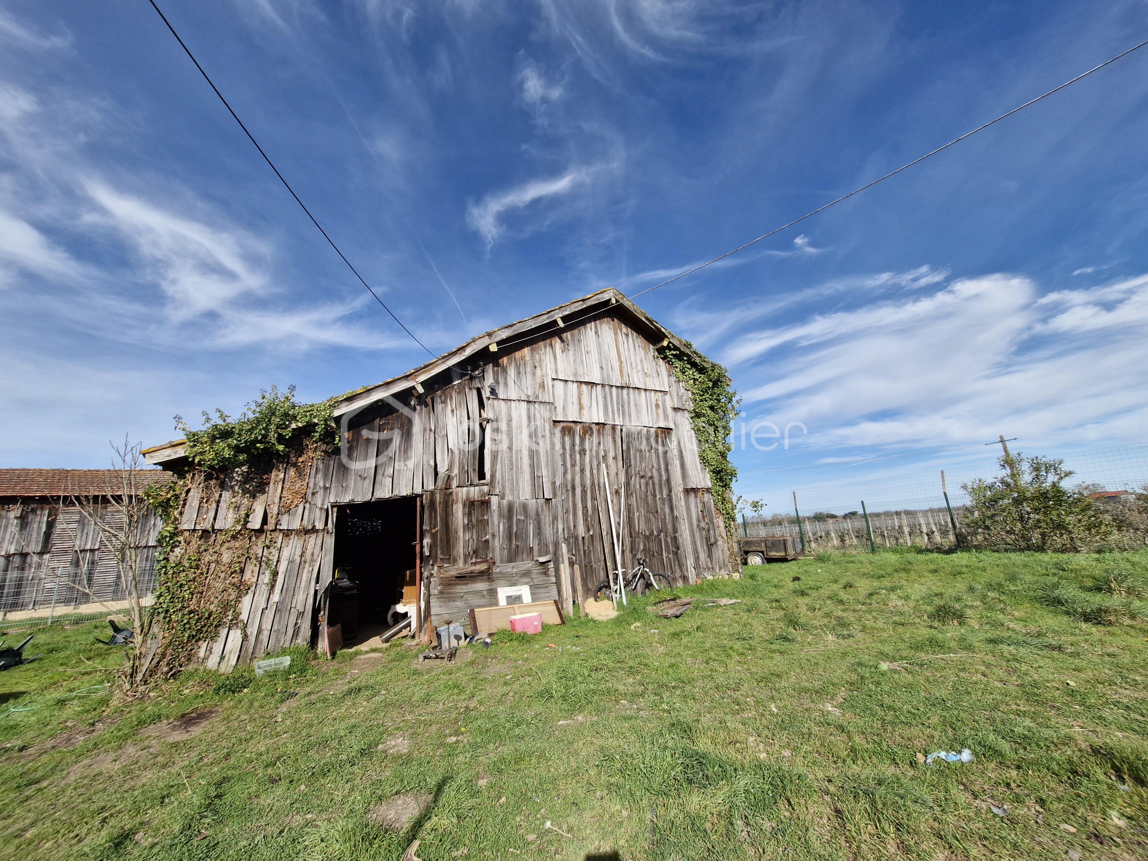 20260224_151431 (1).jpg