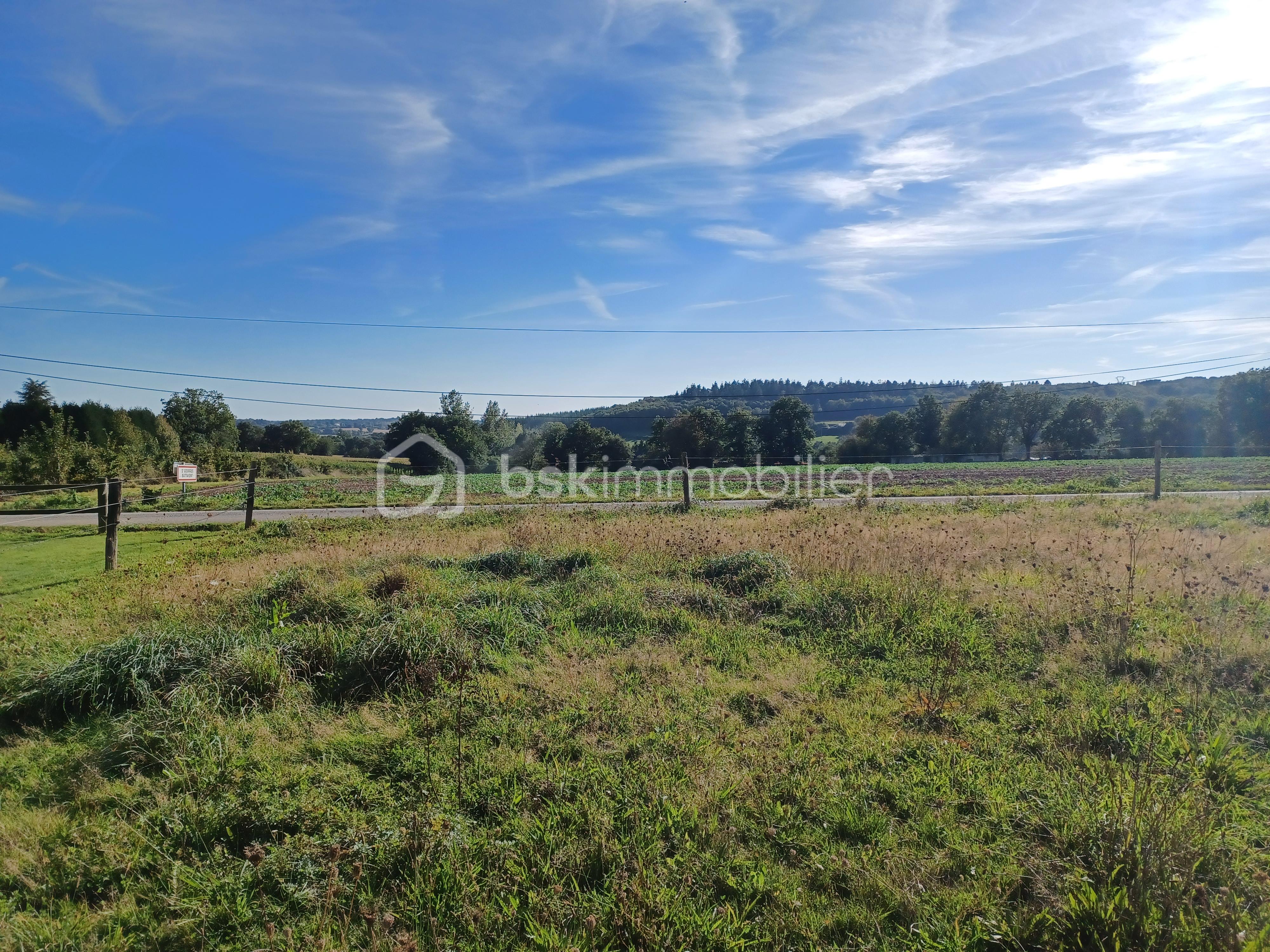 Terrain de 933 m² - 20230924_164650.jpg