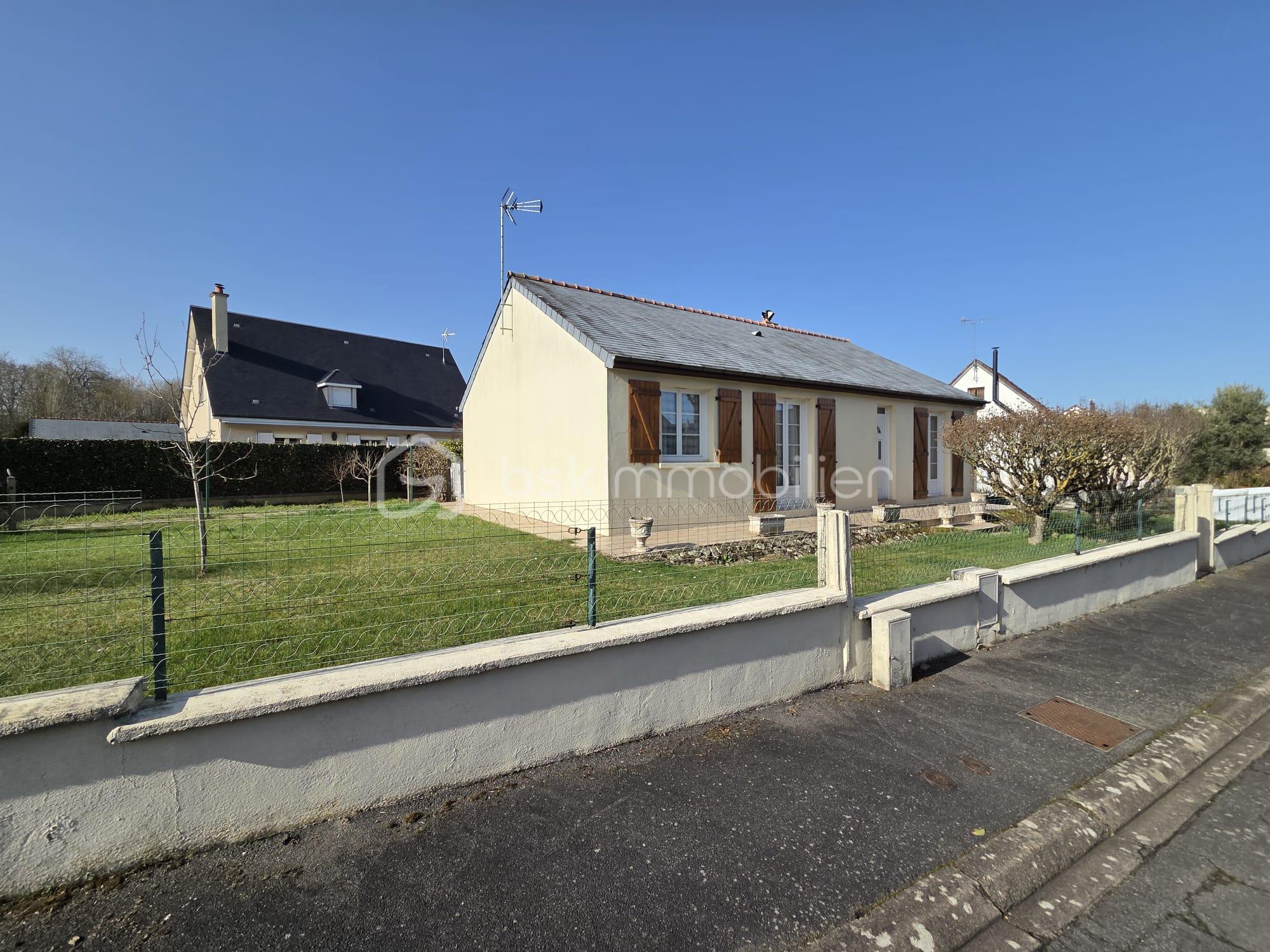 WhatsApp Image 2026-02-25 at 15.26.18 (12).jpeg