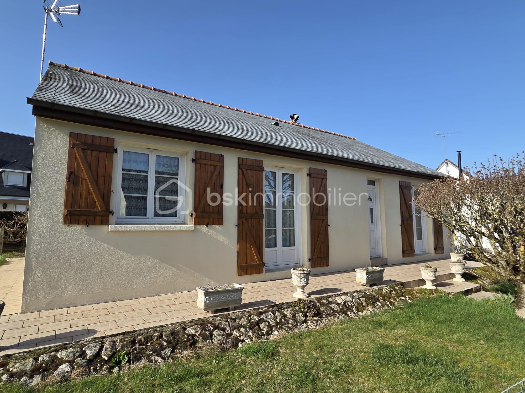 WhatsApp Image 2026-02-25 at 15.26.18 (10).jpeg