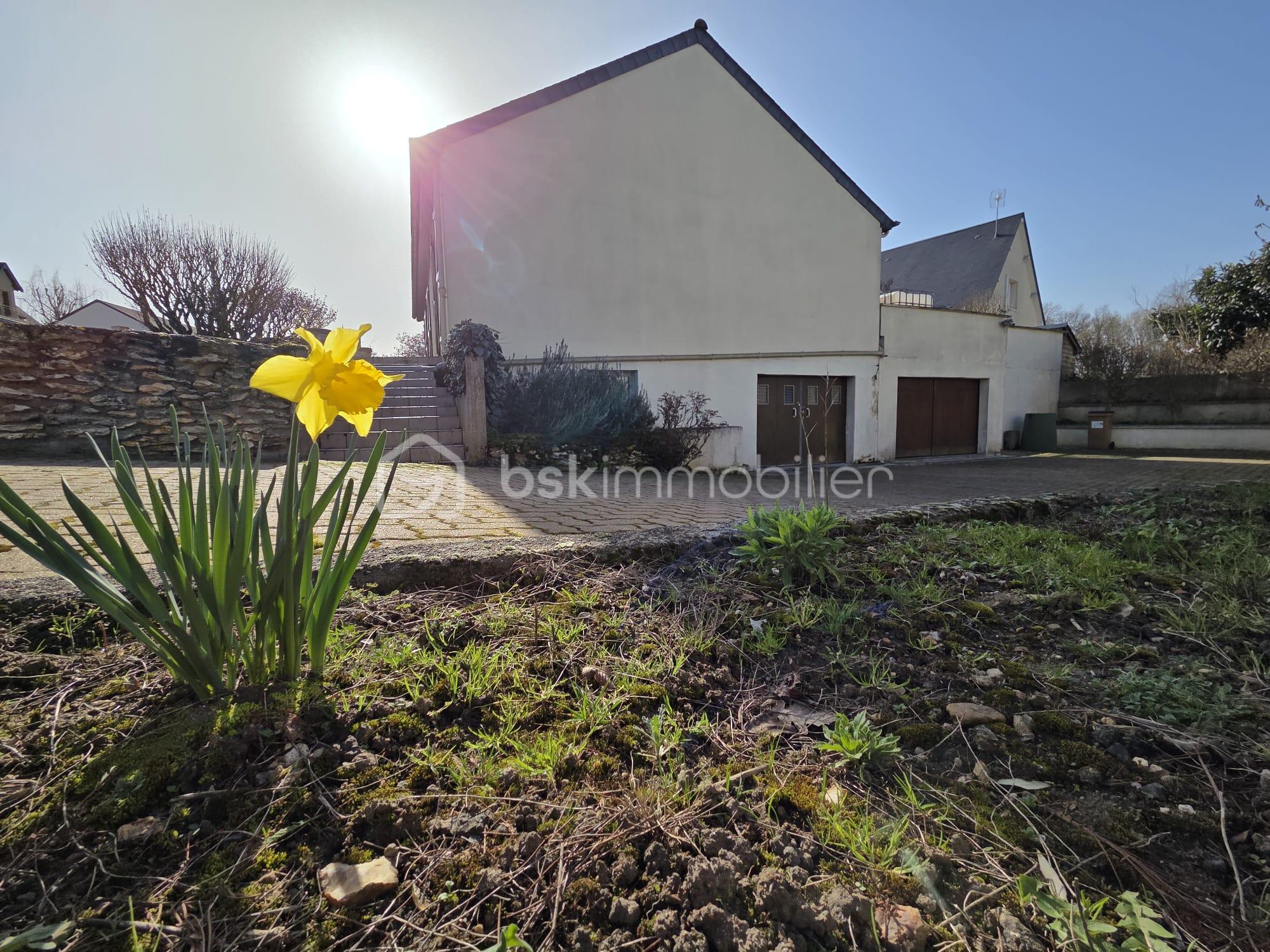 WhatsApp Image 2026-02-25 at 15.26.18 (5).jpeg