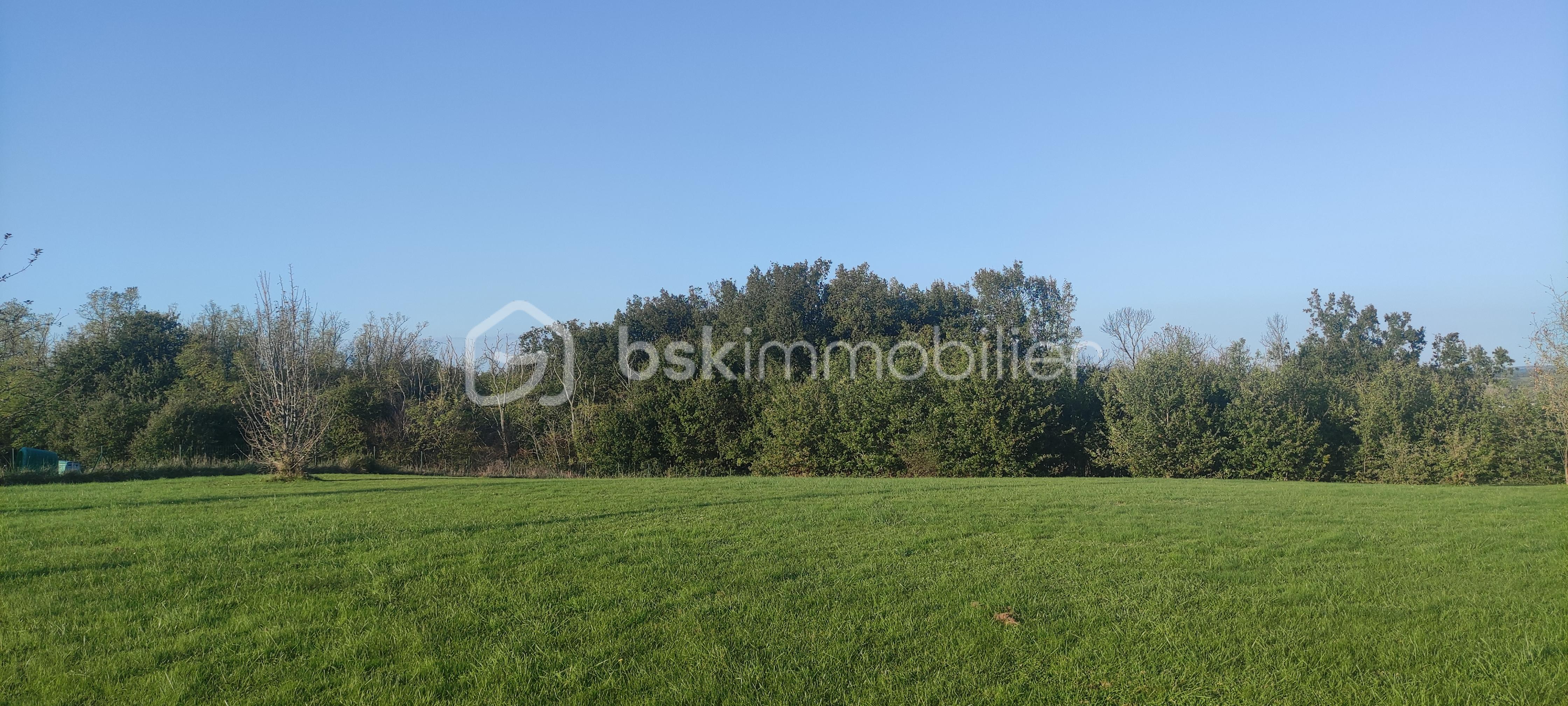 Terrain de 1 360 m² - 1731923827532.jpg