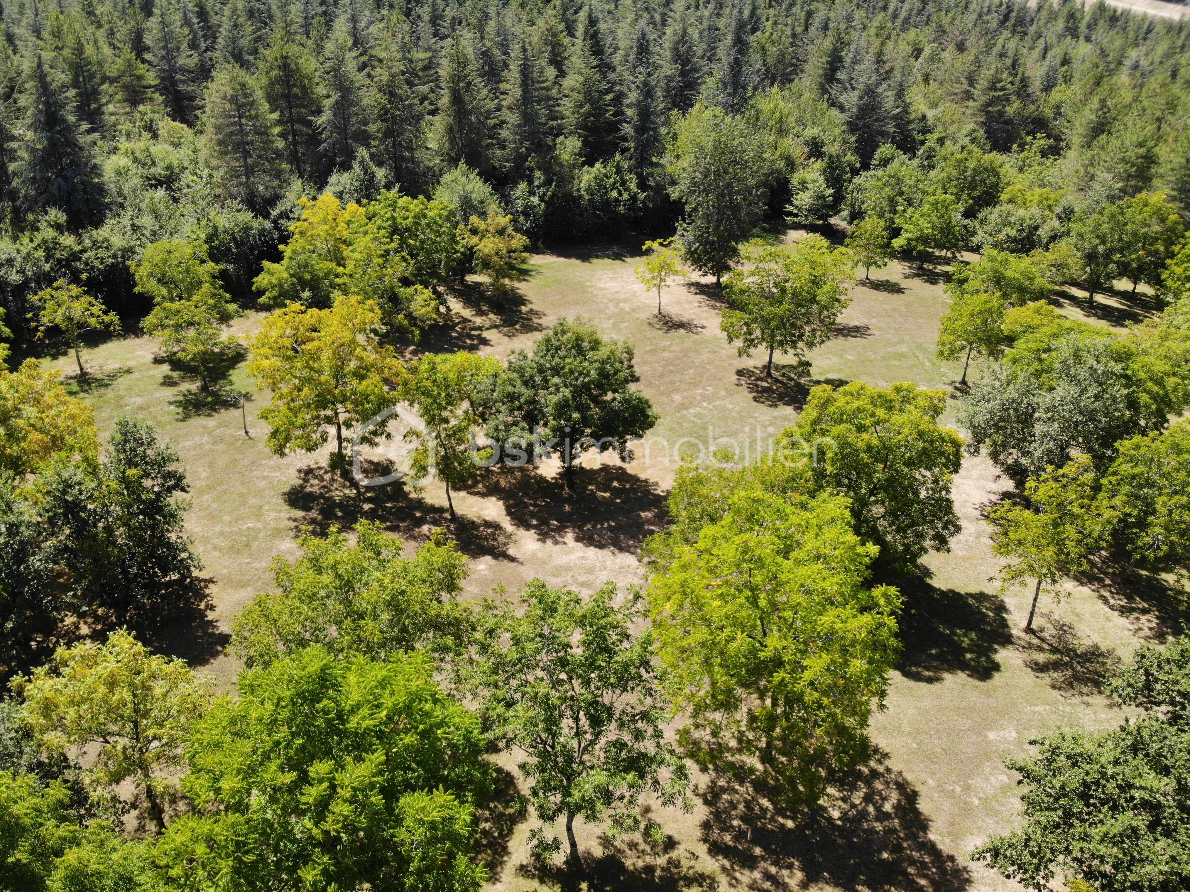 Demeure de 432 m² - Drone belle maison gascony campagne luxe (18).JPG