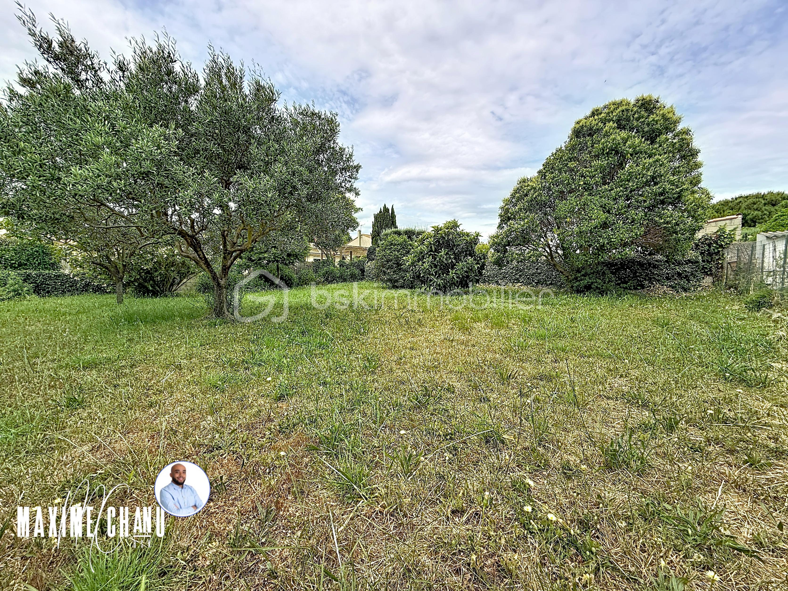 gambetta_00003.jpg