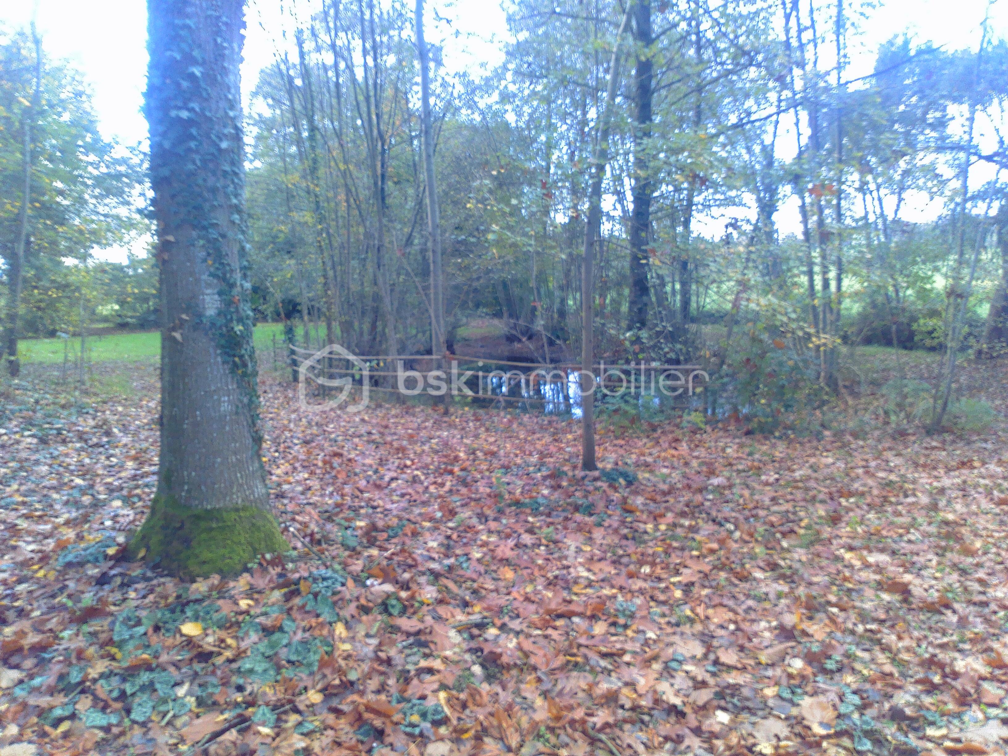 Maison de 170 m² - 2025-11-08-15-36-50.jpg