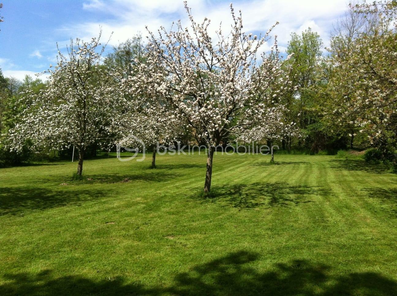 Maison de 170 m² - Verger.jpg