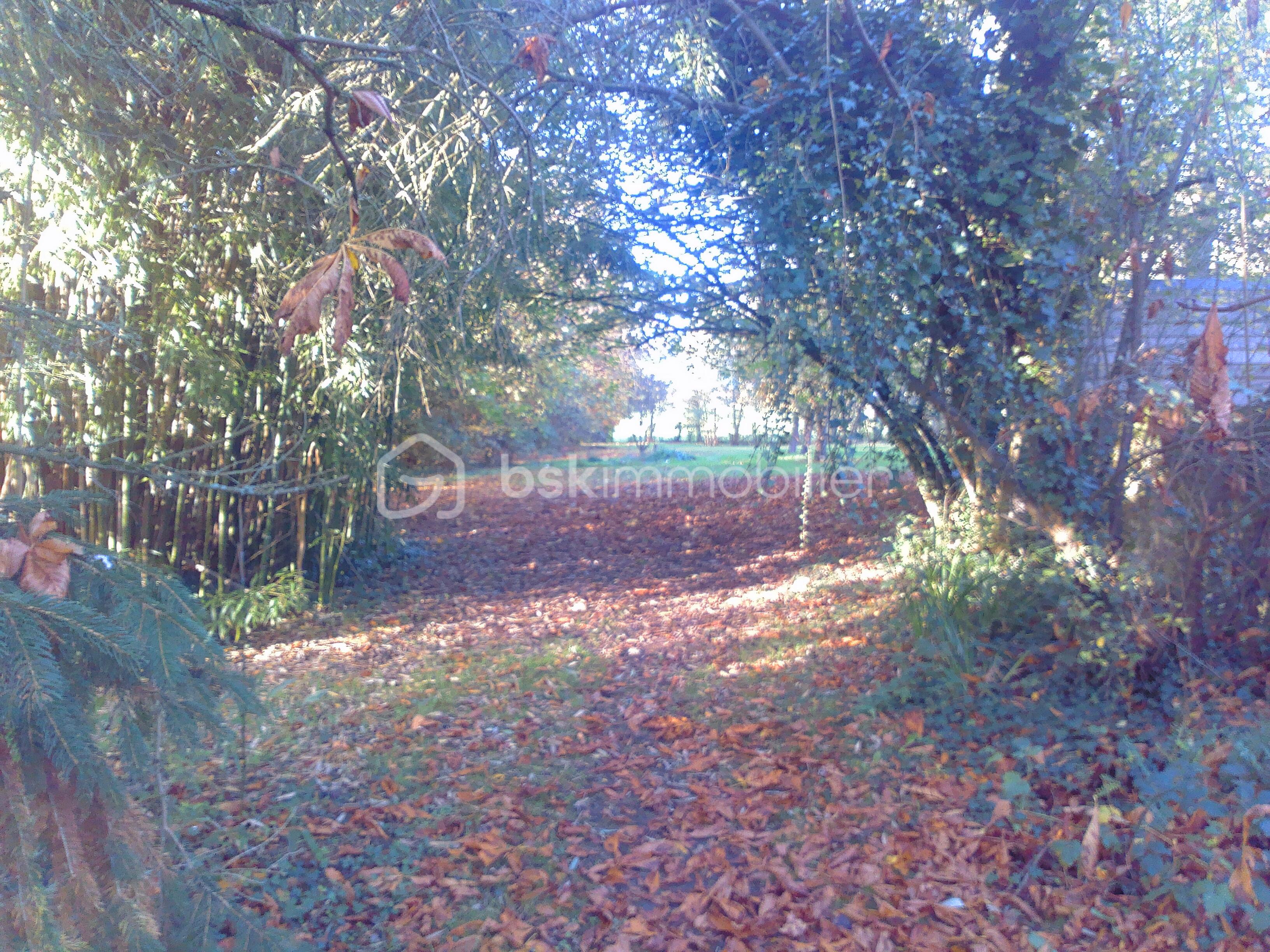 Maison de 170 m² - 2025-11-08-15-45-03.jpg