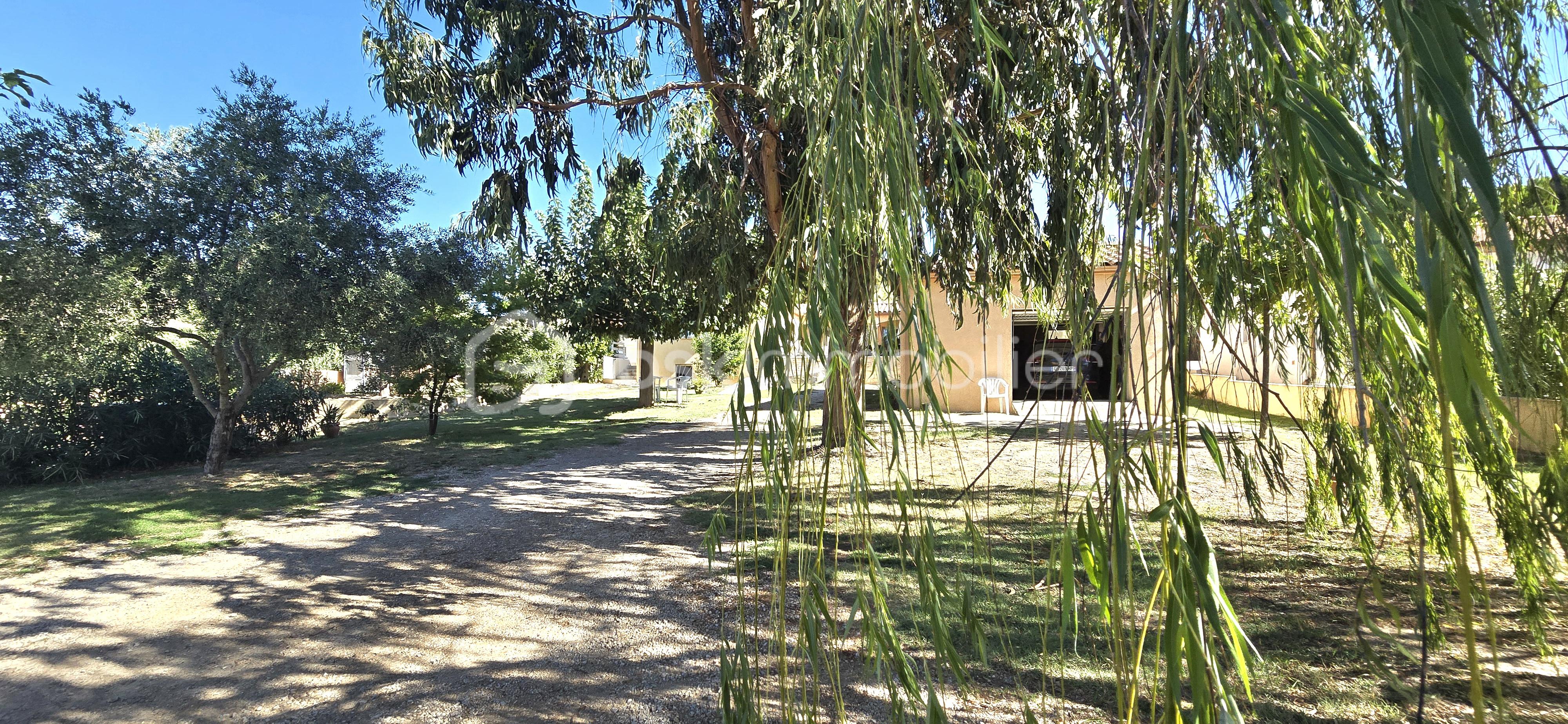 20260910_112237.jpg
