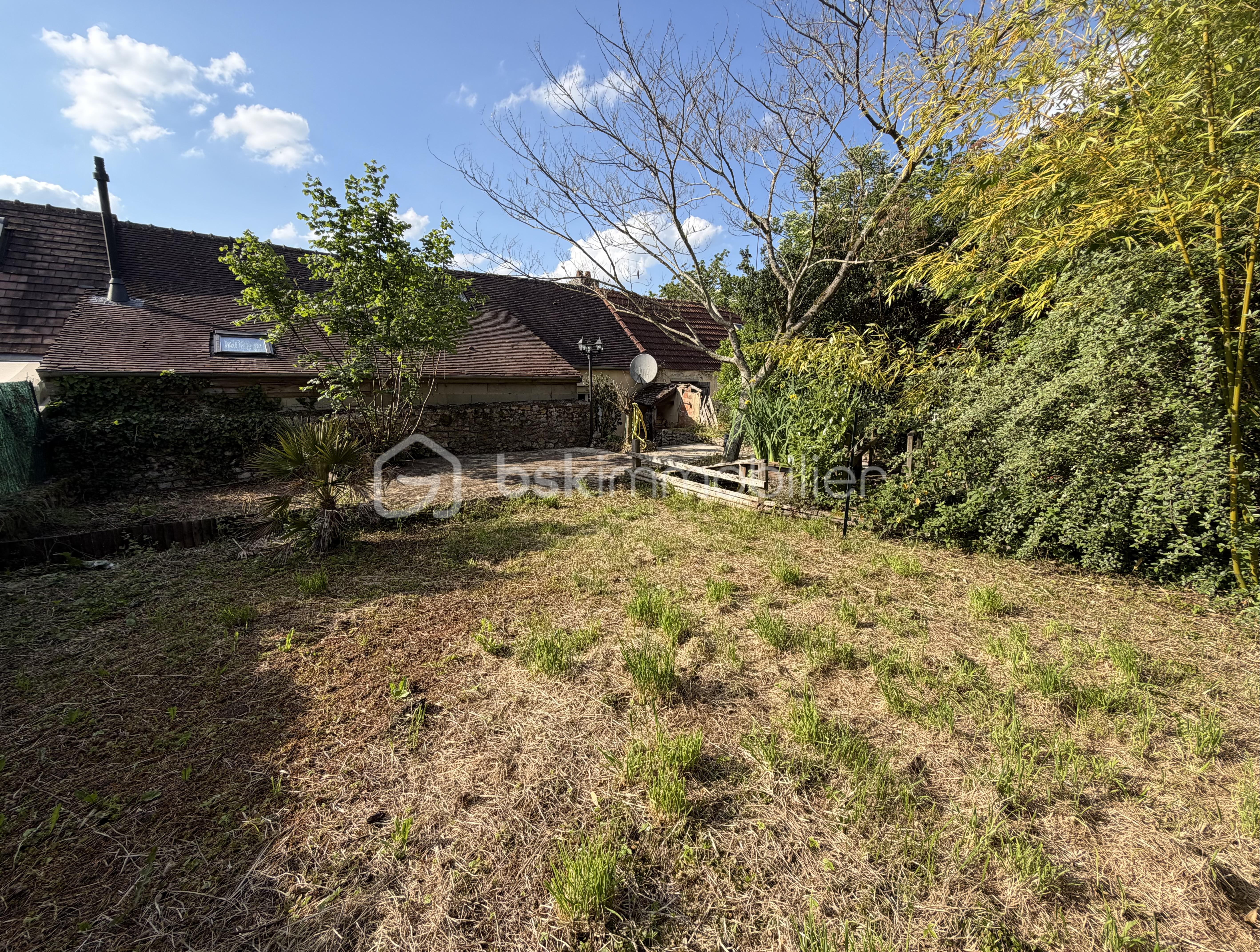 jardin derriere 2.jpeg