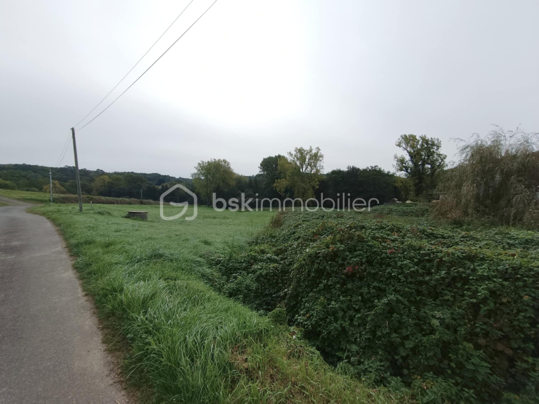 Corps de ferme de 130 m² - 5ce58b67-31af-447a-aaaa-5ec5556afc36.jpg