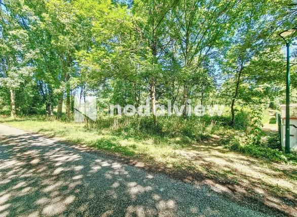 Terrain de 2 591 m² - Sans titre.jpg