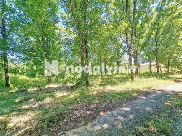 Terrain de 2 591 m² - 1.jpg