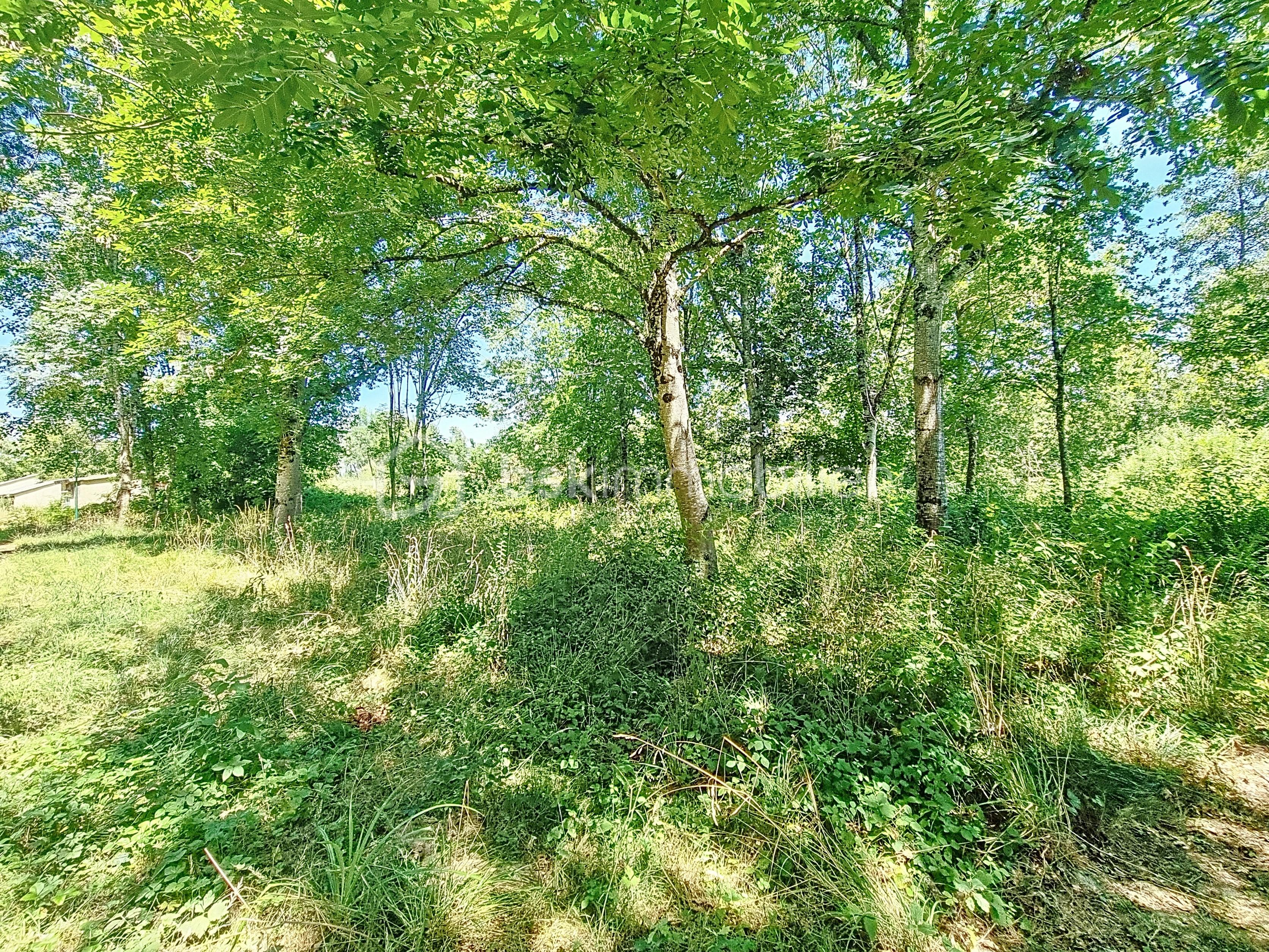 Terrain de 2 591 m² - diyakova_00001.jpg