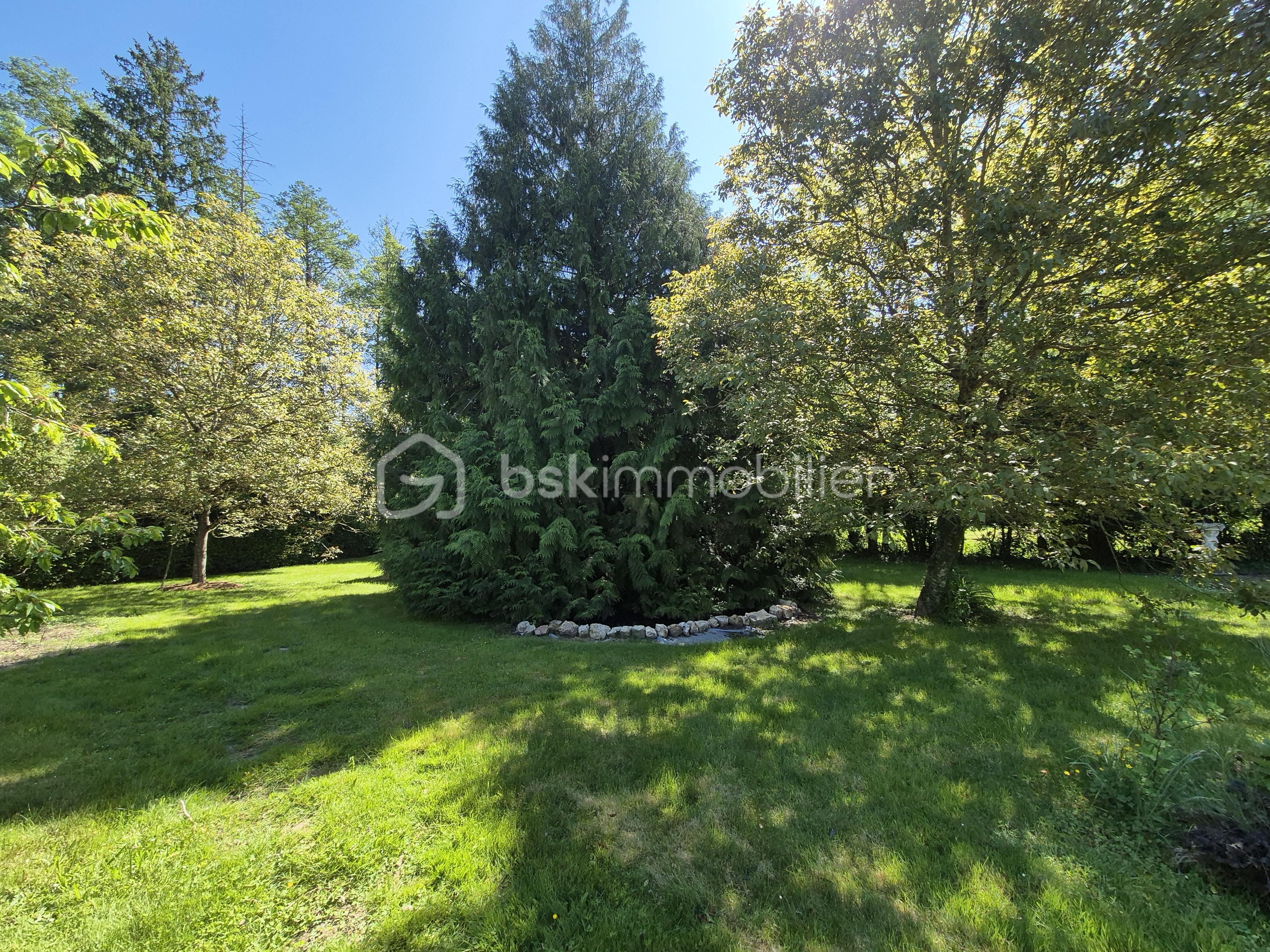 Maison de 134 m² - 20250510_112208.jpg