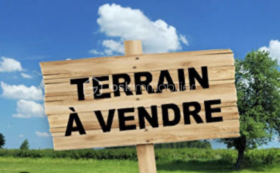 Terrain de 2 941 m² - IMG_1752.JPEG