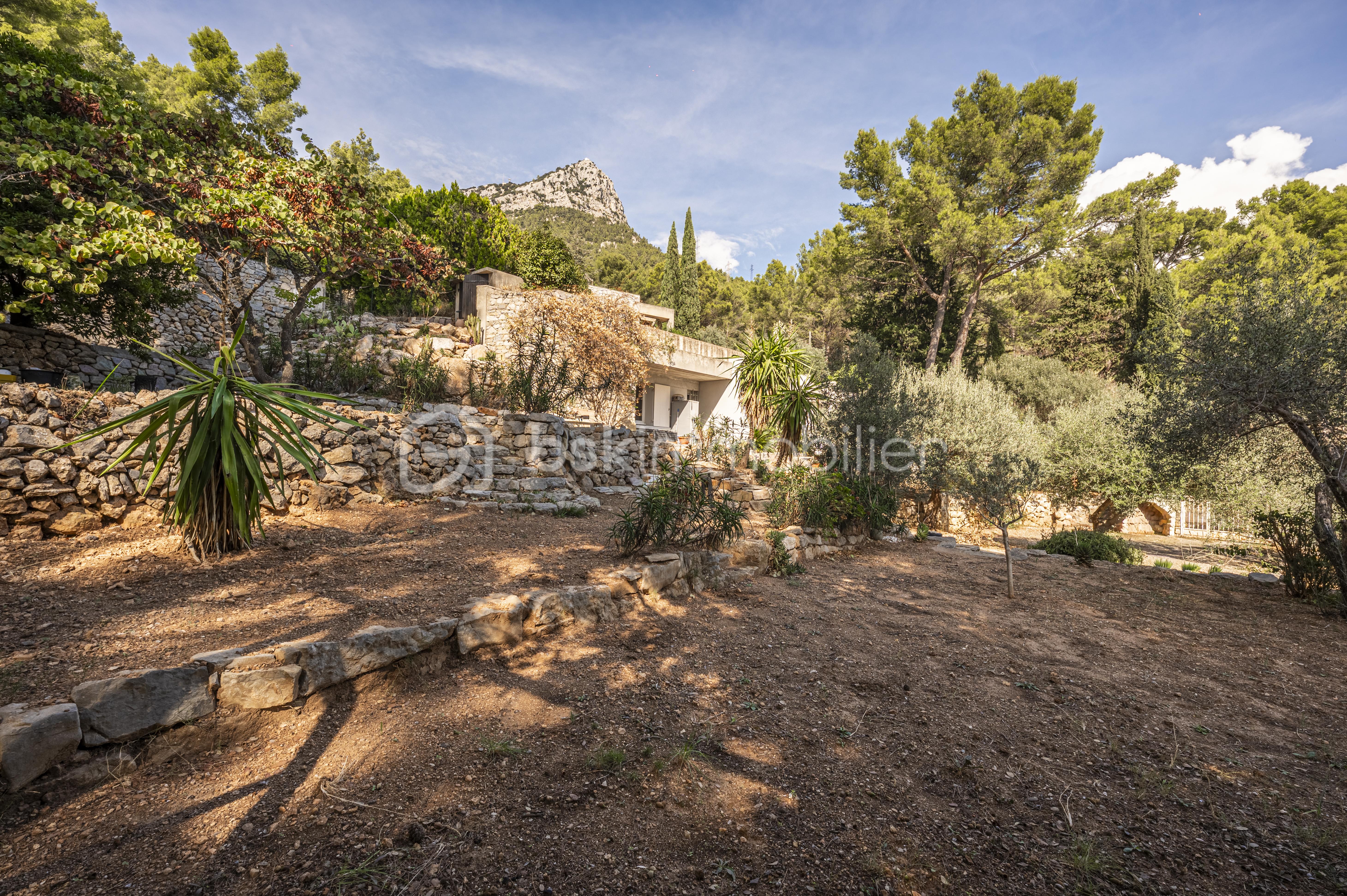 DSC_7277-HDR.jpg