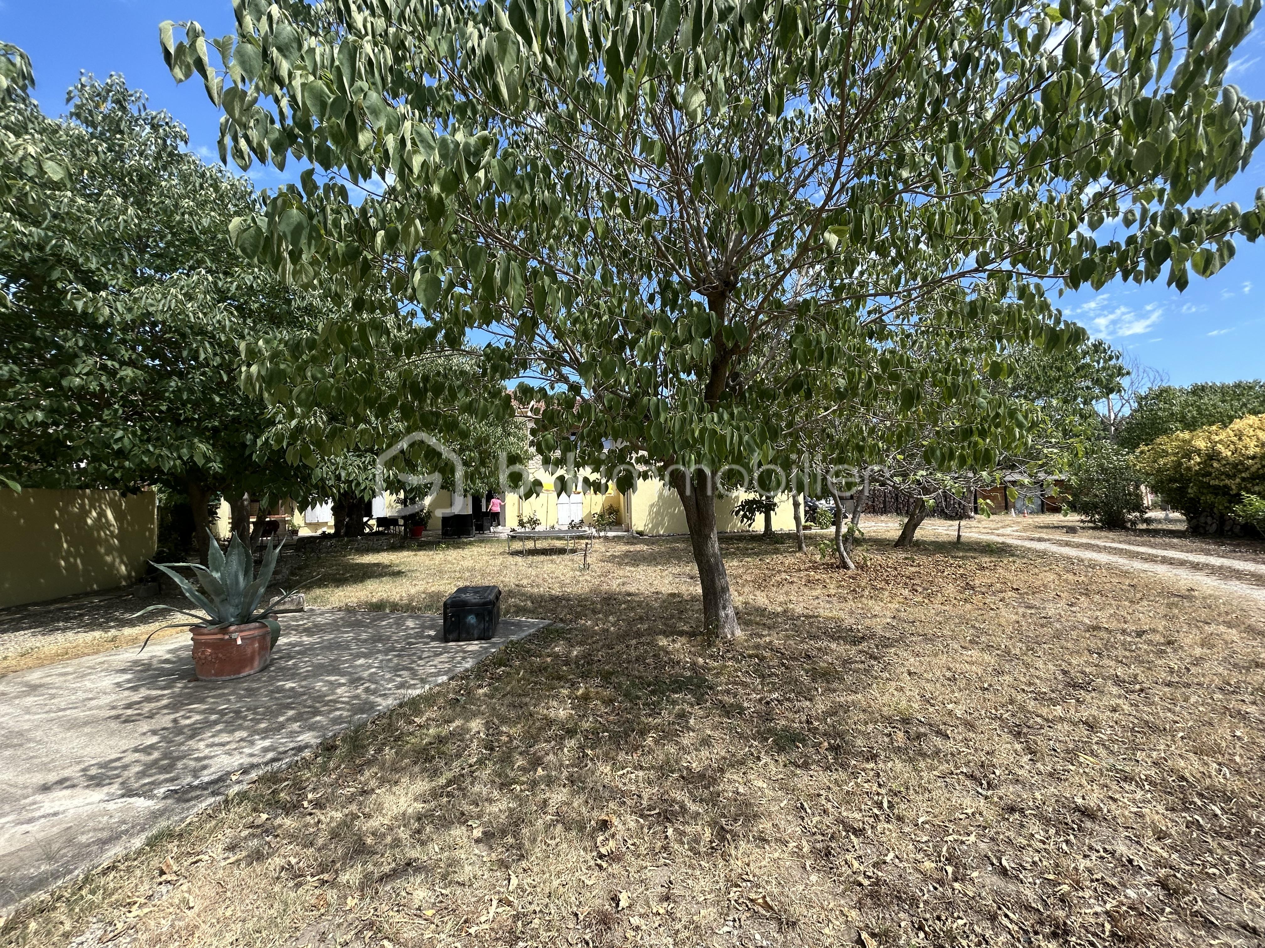 Mas de 242 m² - extérieur jardin 4.jpg