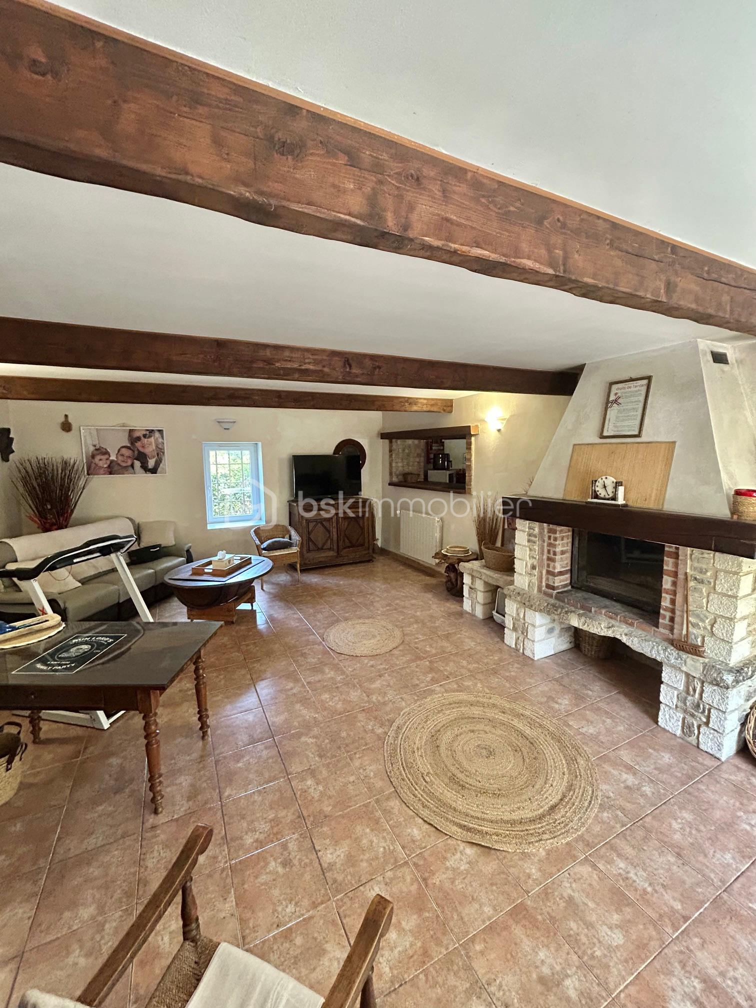 Mas de 242 m² - SEJOUR CHEMINEE 1.jpg