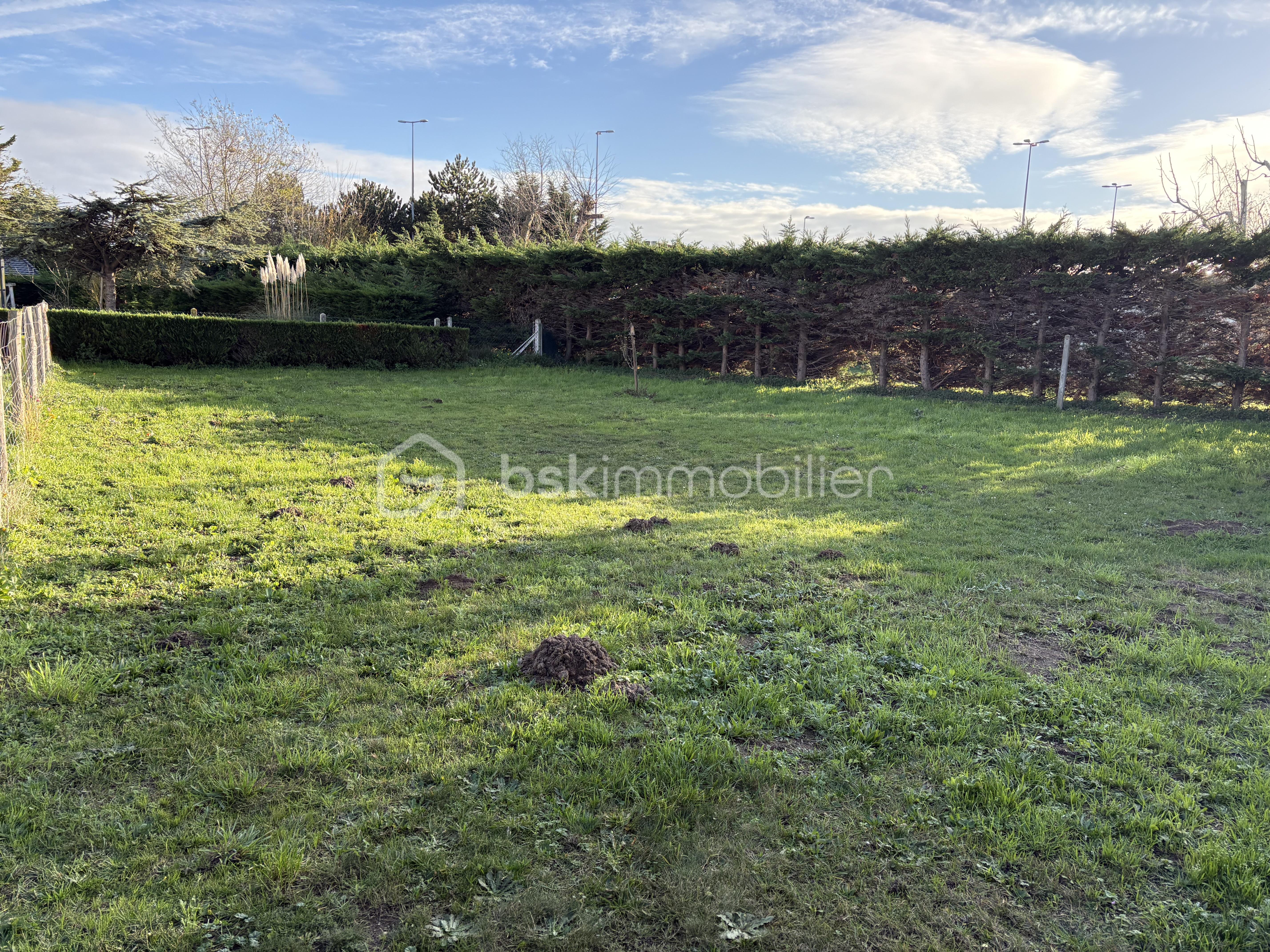 Lotissement de 466 m² - IMG_1362.JPG