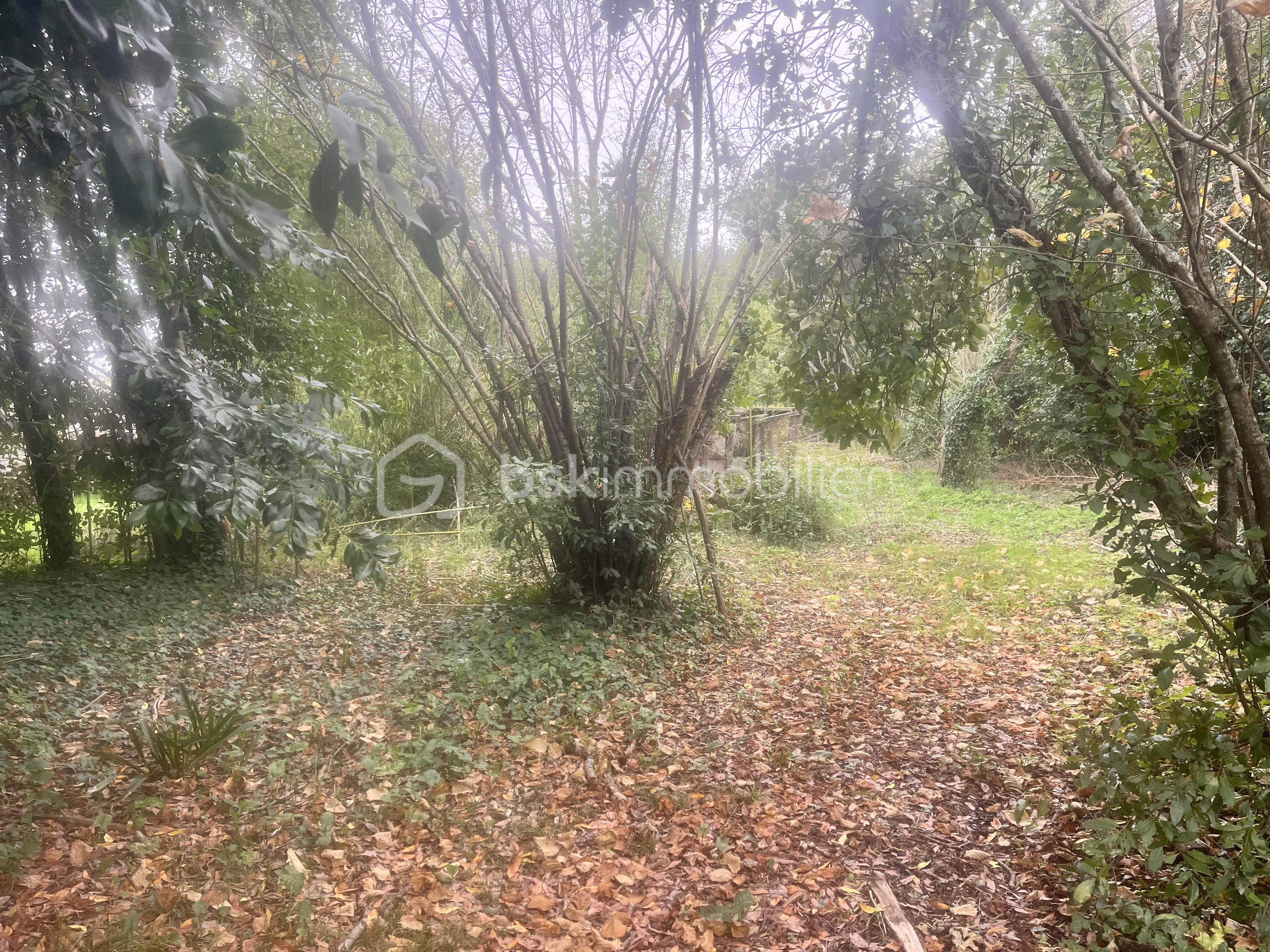 Maison ancienne de 103 m² - IMG_5842.jpeg