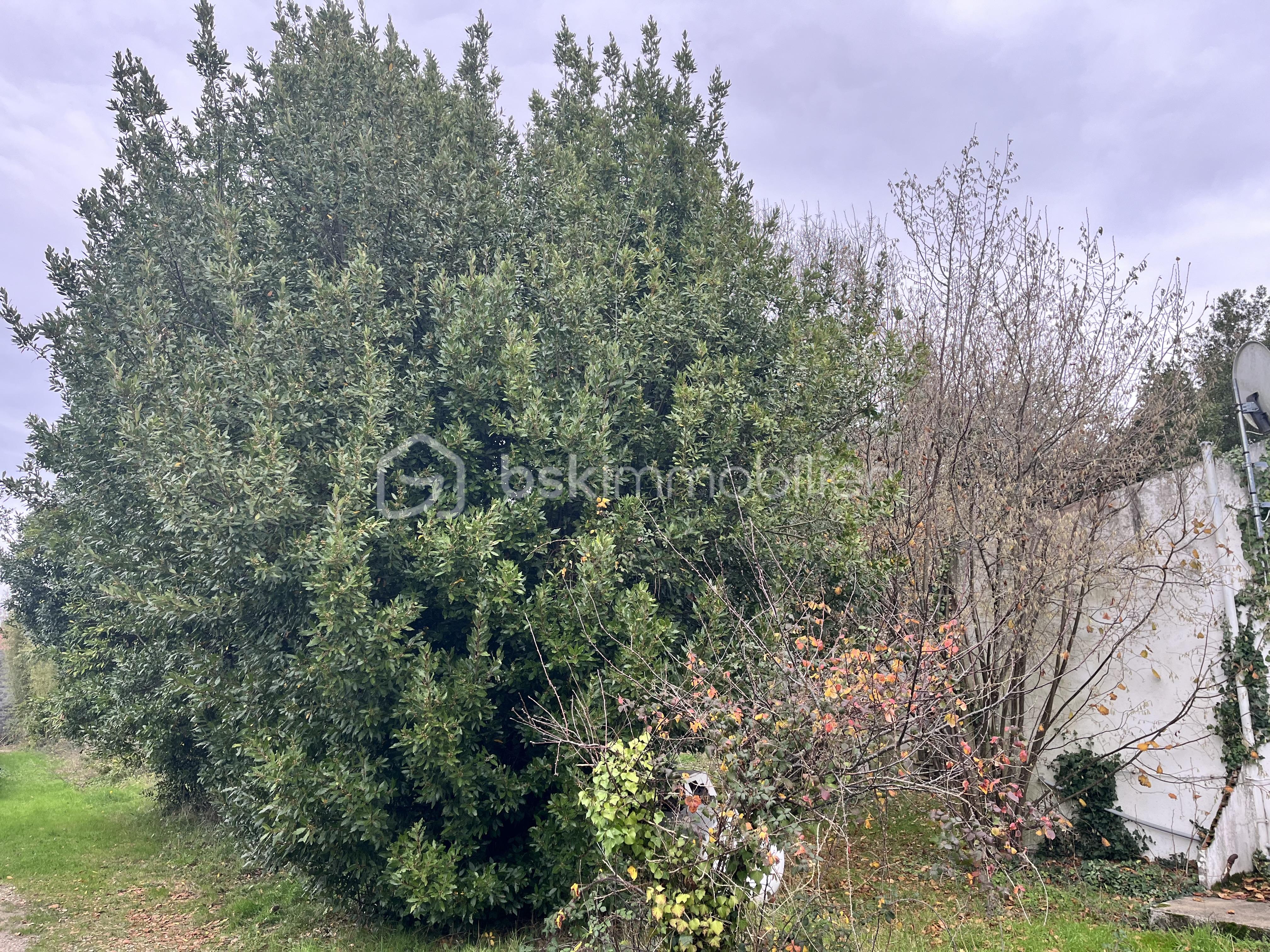 Maison ancienne de 103 m² - IMG_5848.jpeg