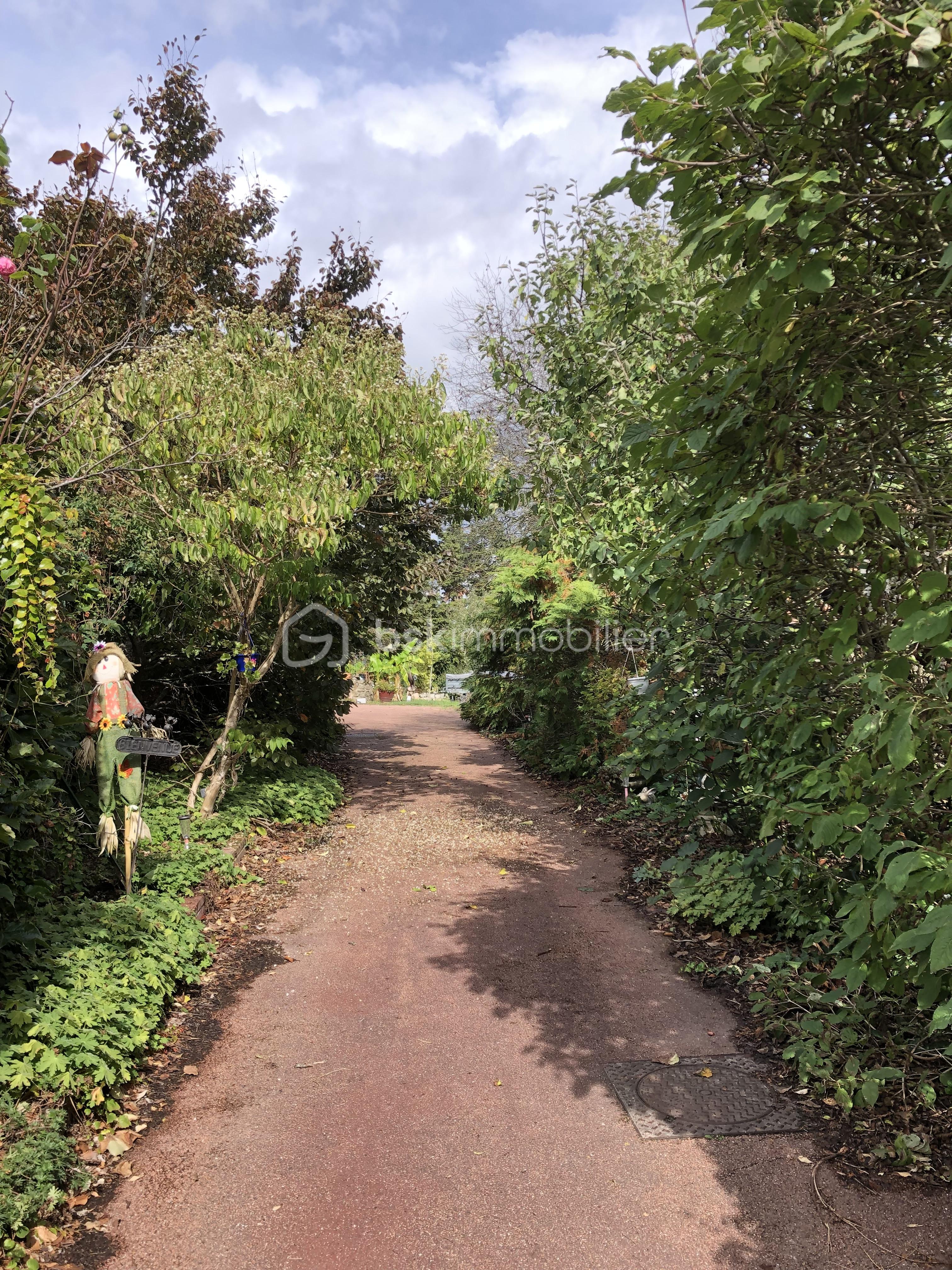 allée entrée.JPG
