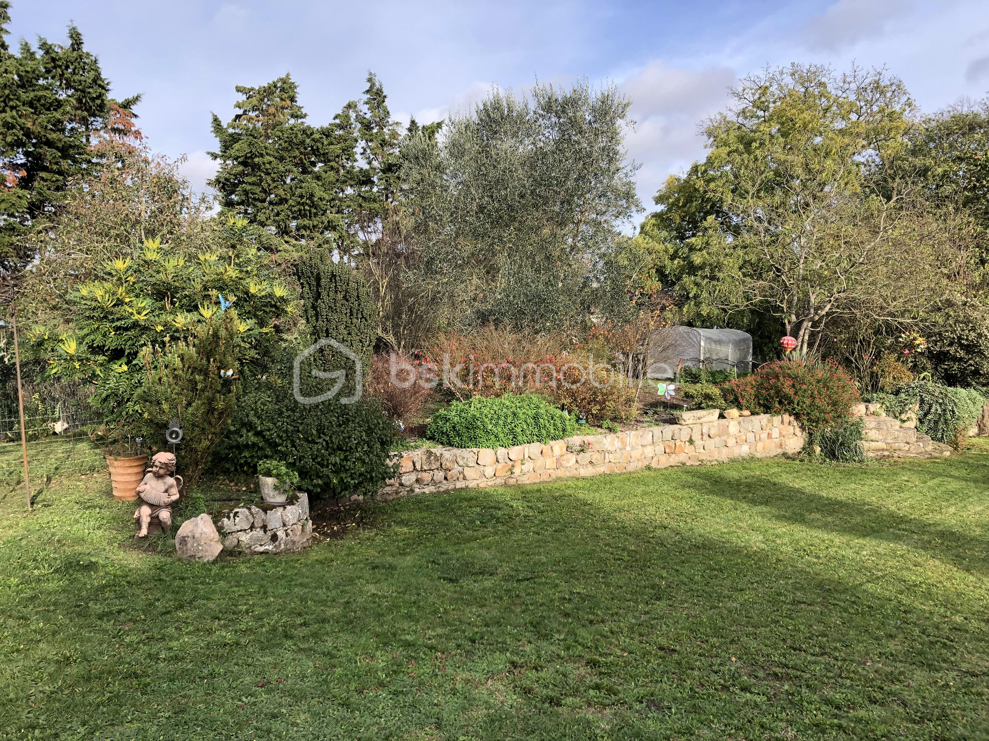 jardin.JPG