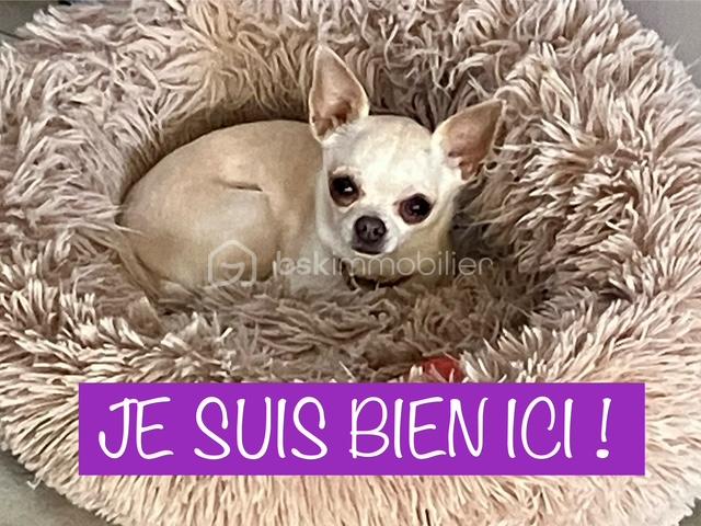 Maison de 147 m² - crochte chien seul.jpg