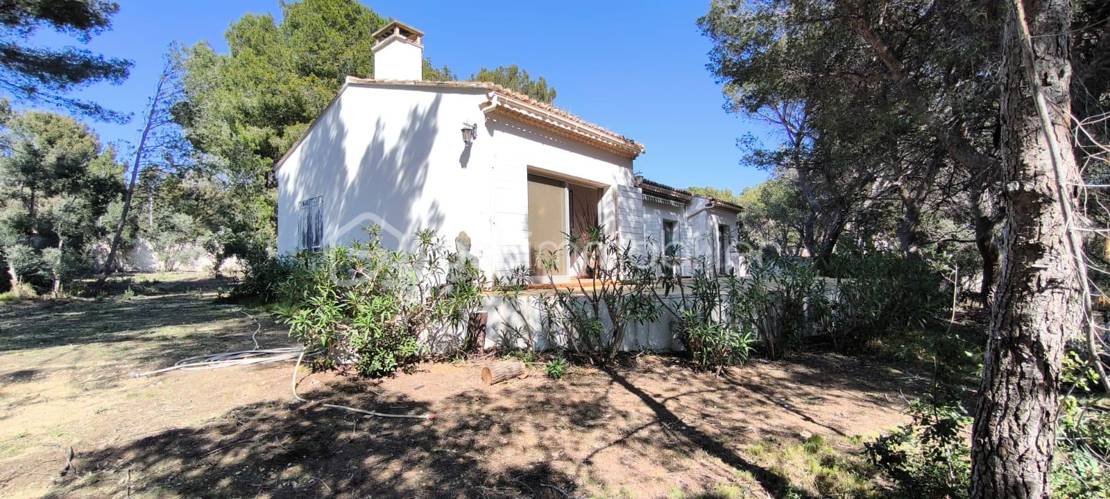 WhatsApp Image 2026-03-24 at 11.08.04.jpeg