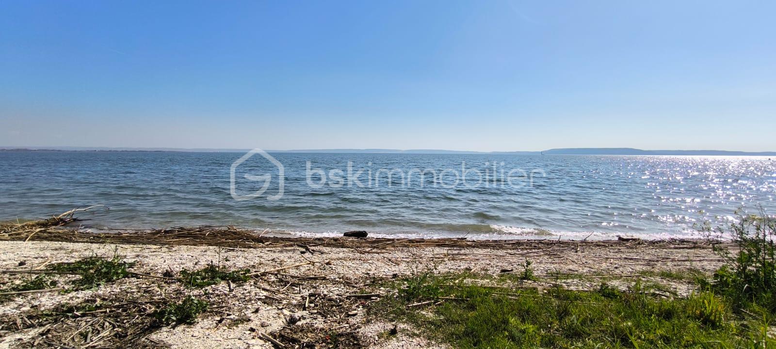 WhatsApp Image 2026-03-24 at 11.08.04 (2).jpeg