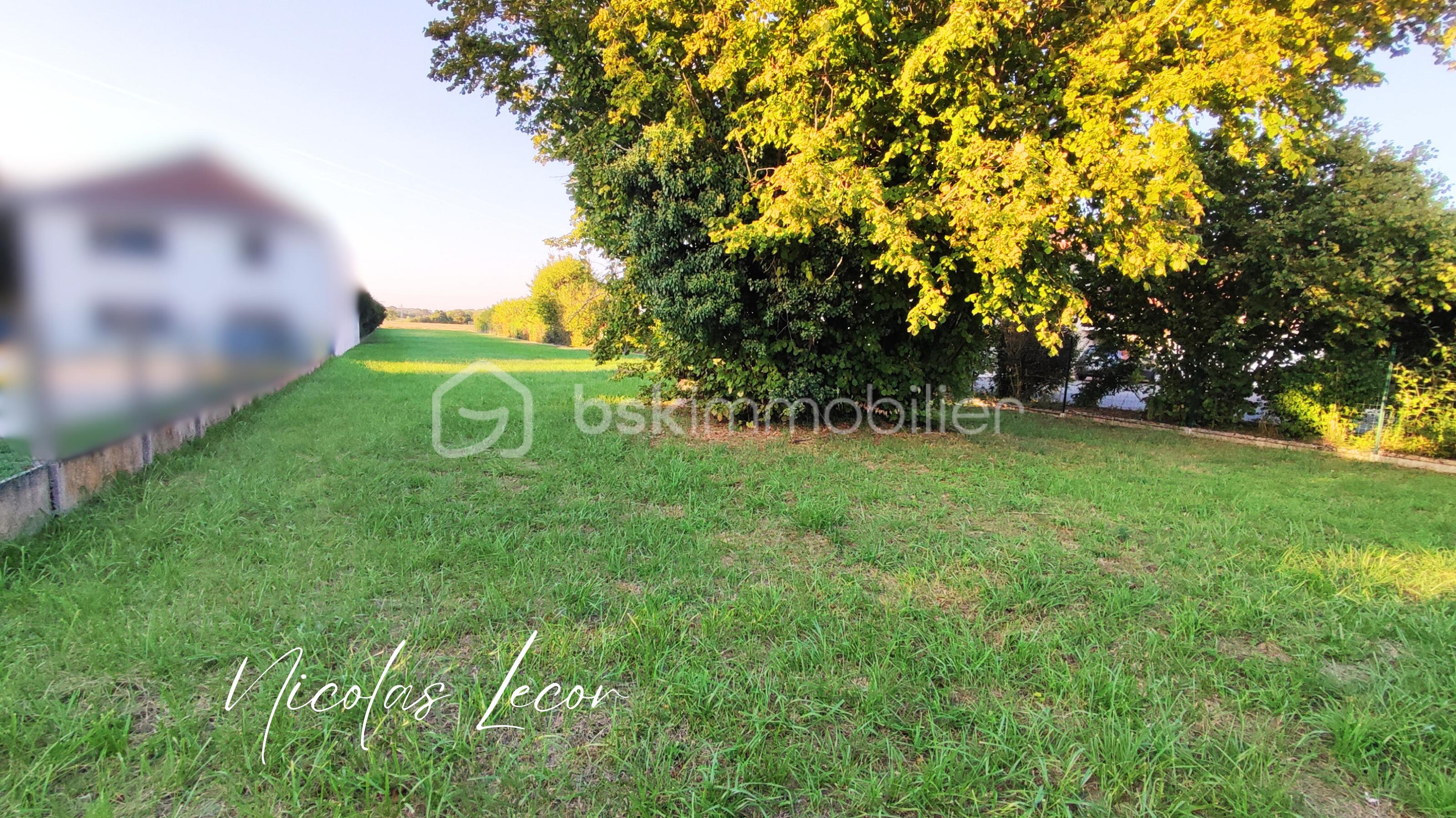 Terrain de 2 111 m² - Nicolas Lecor (2).png
