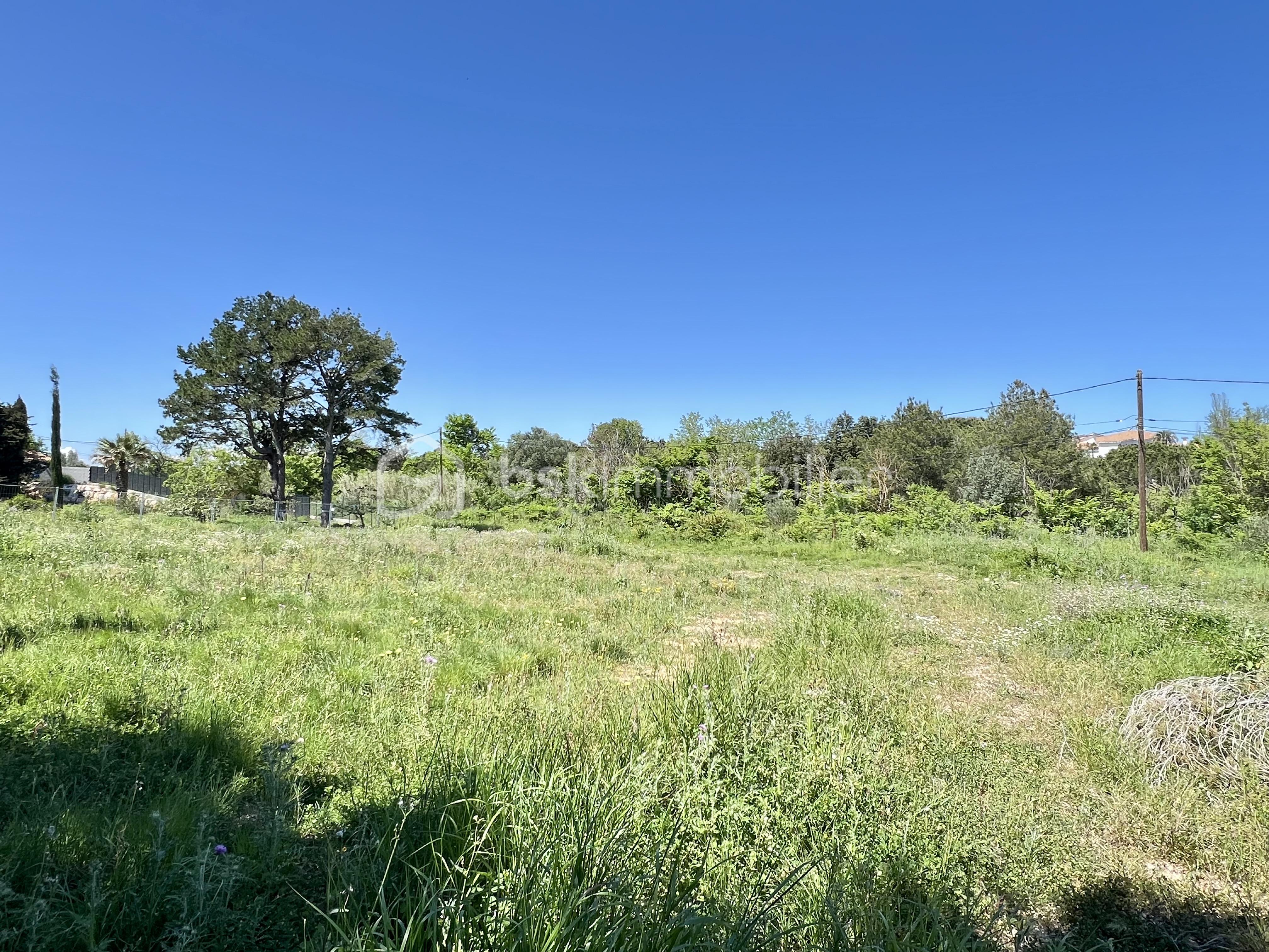 Terrain de 2 762 m² - IMG_3473.jpeg