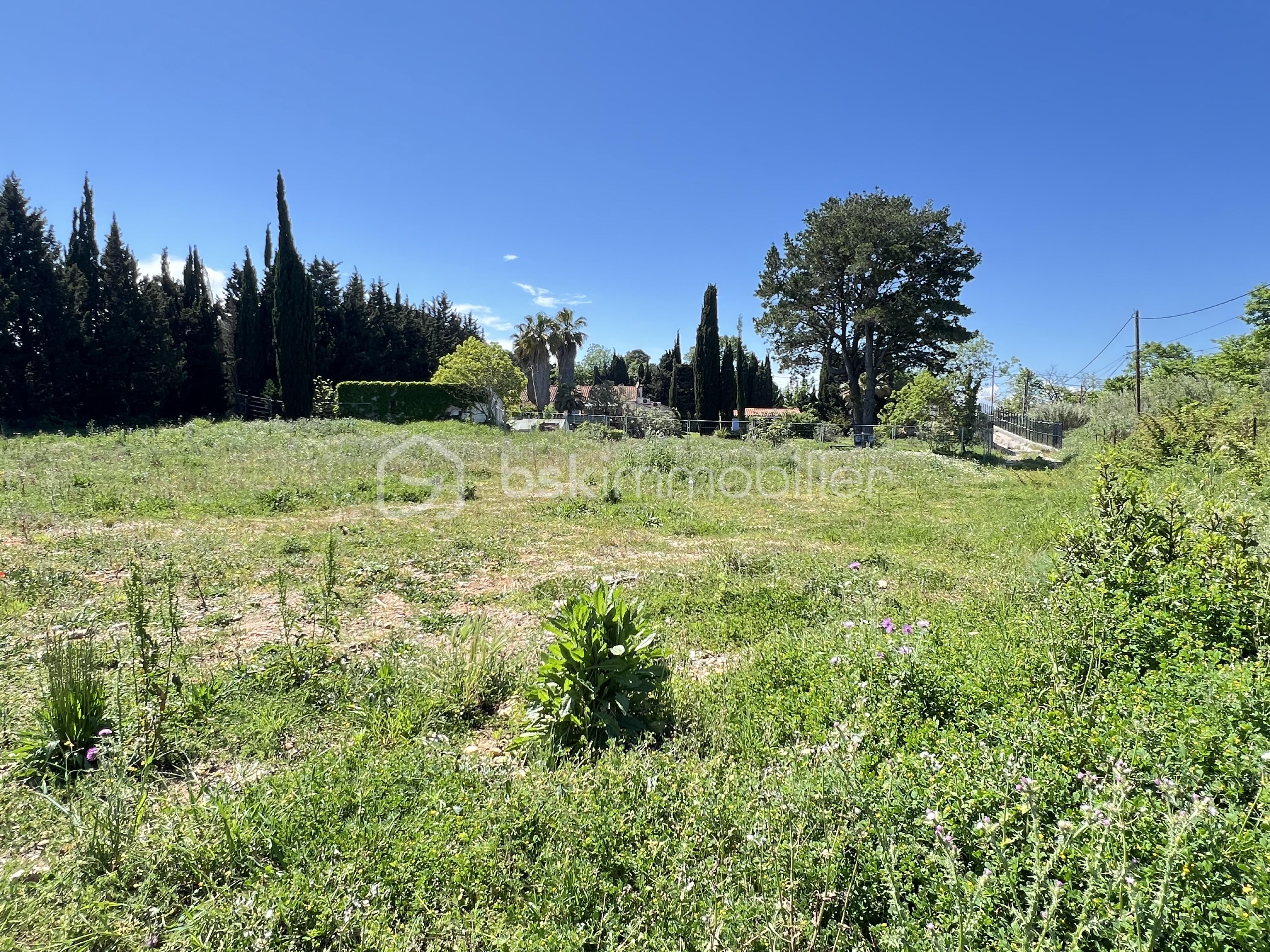 Terrain de 2 762 m² - IMG_3478.jpeg