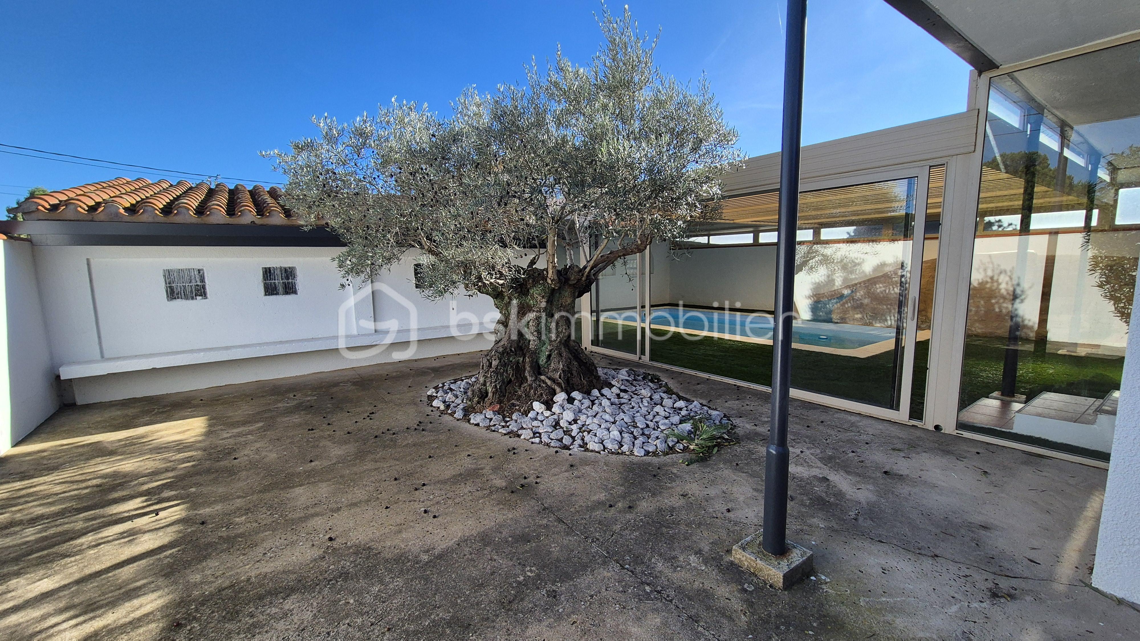 Maison de 155 m² - 20251109_140551.jpg