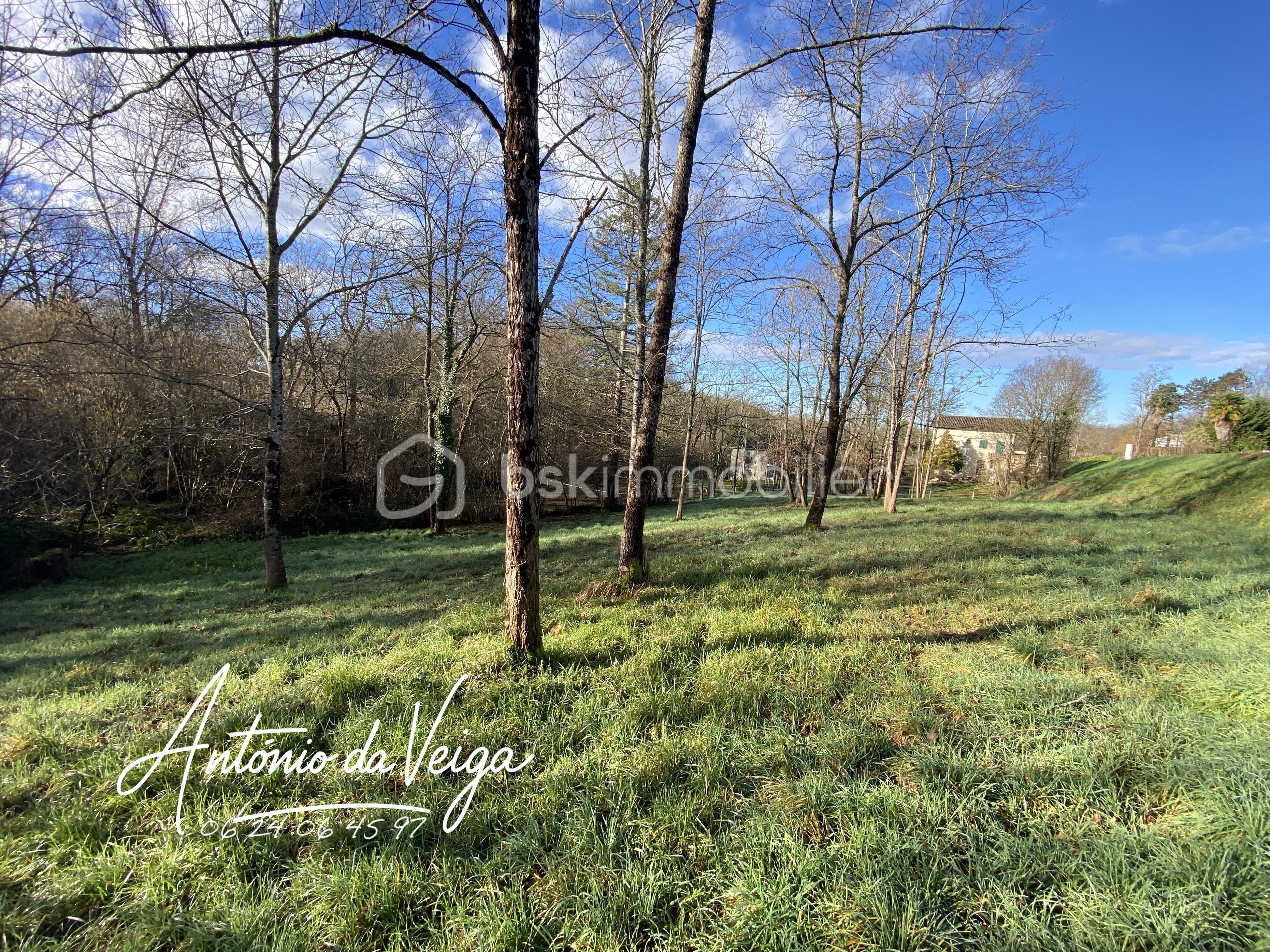 Terrain de 2 422 m² - IMG_1848.jpeg