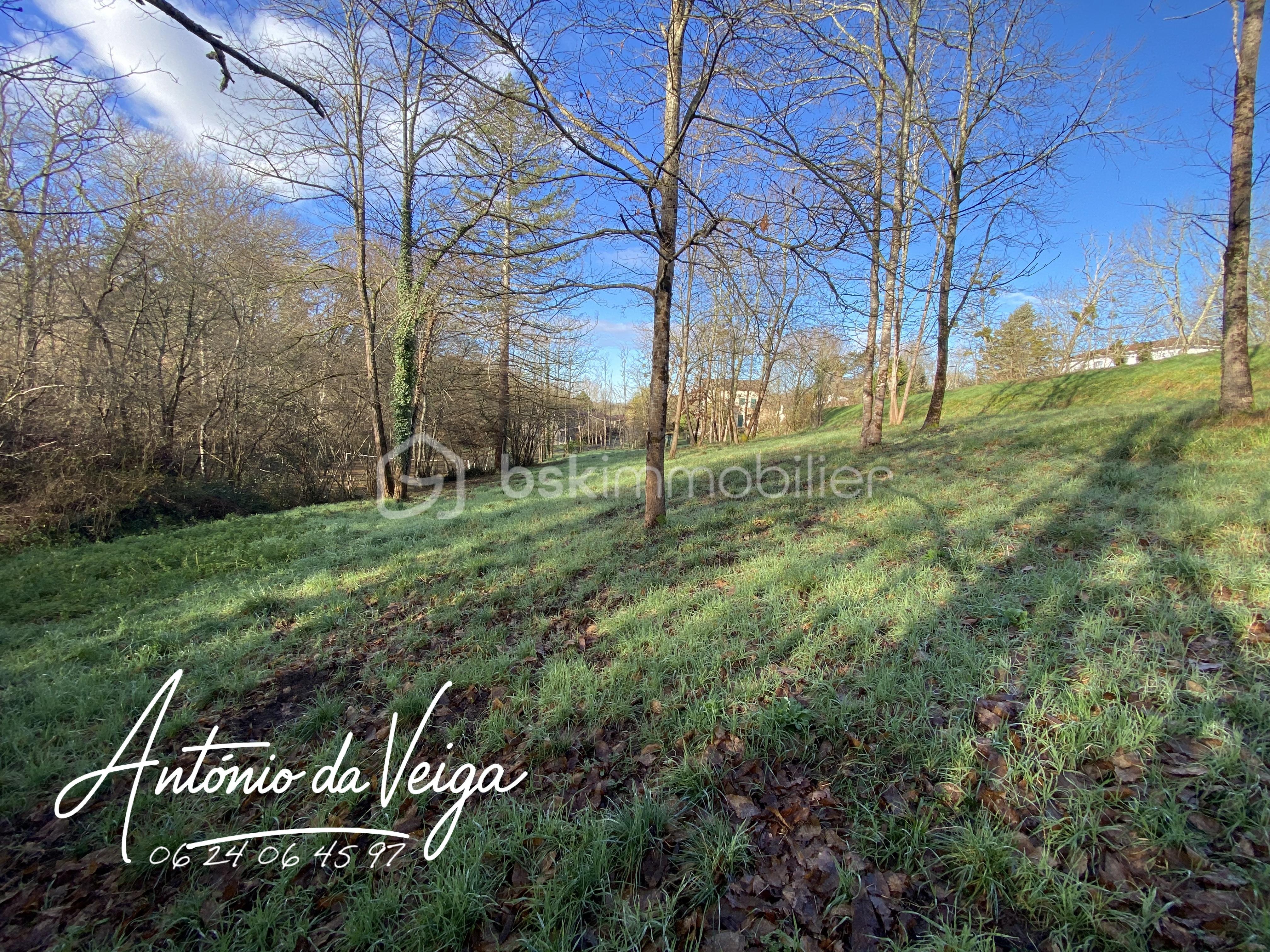 Terrain de 2 422 m² - IMG_1847.jpeg